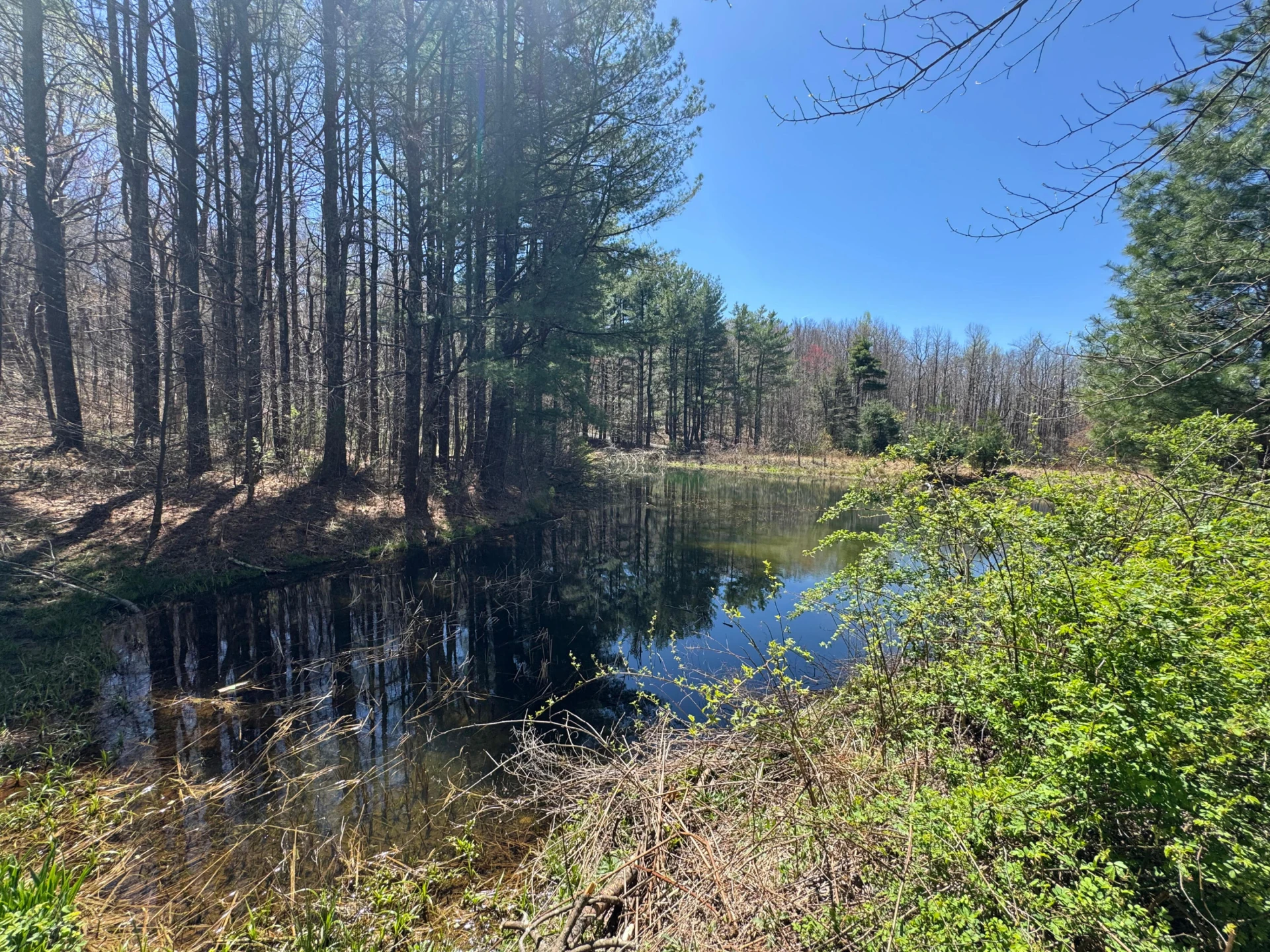 0 Cherry Creek RD - Photo 9