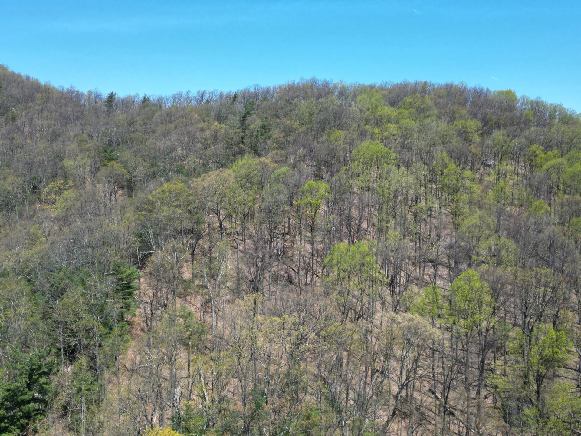 00 MASONS KNOB RD - Photo 21