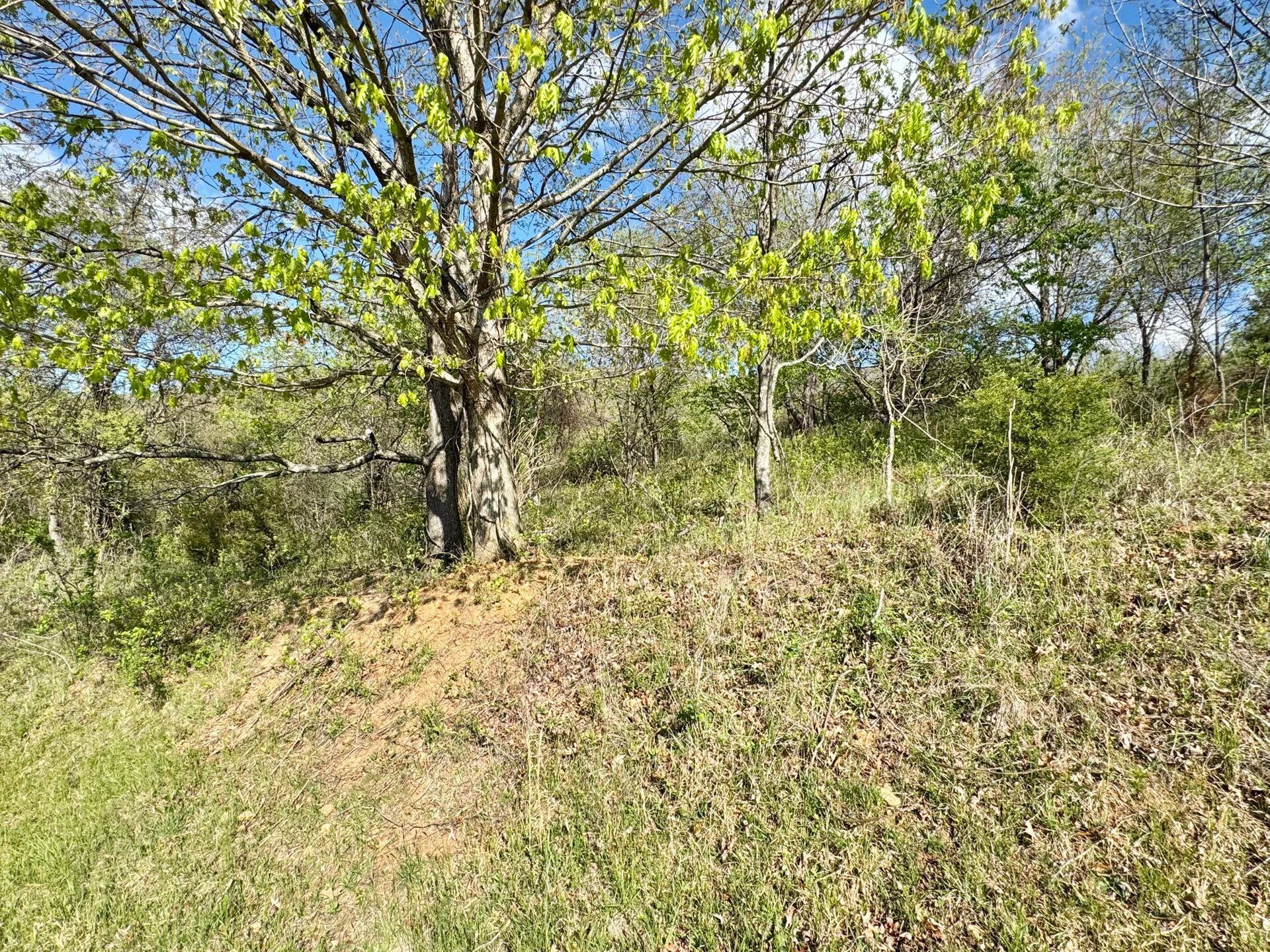 6201 Crumpacker DR - Photo 62