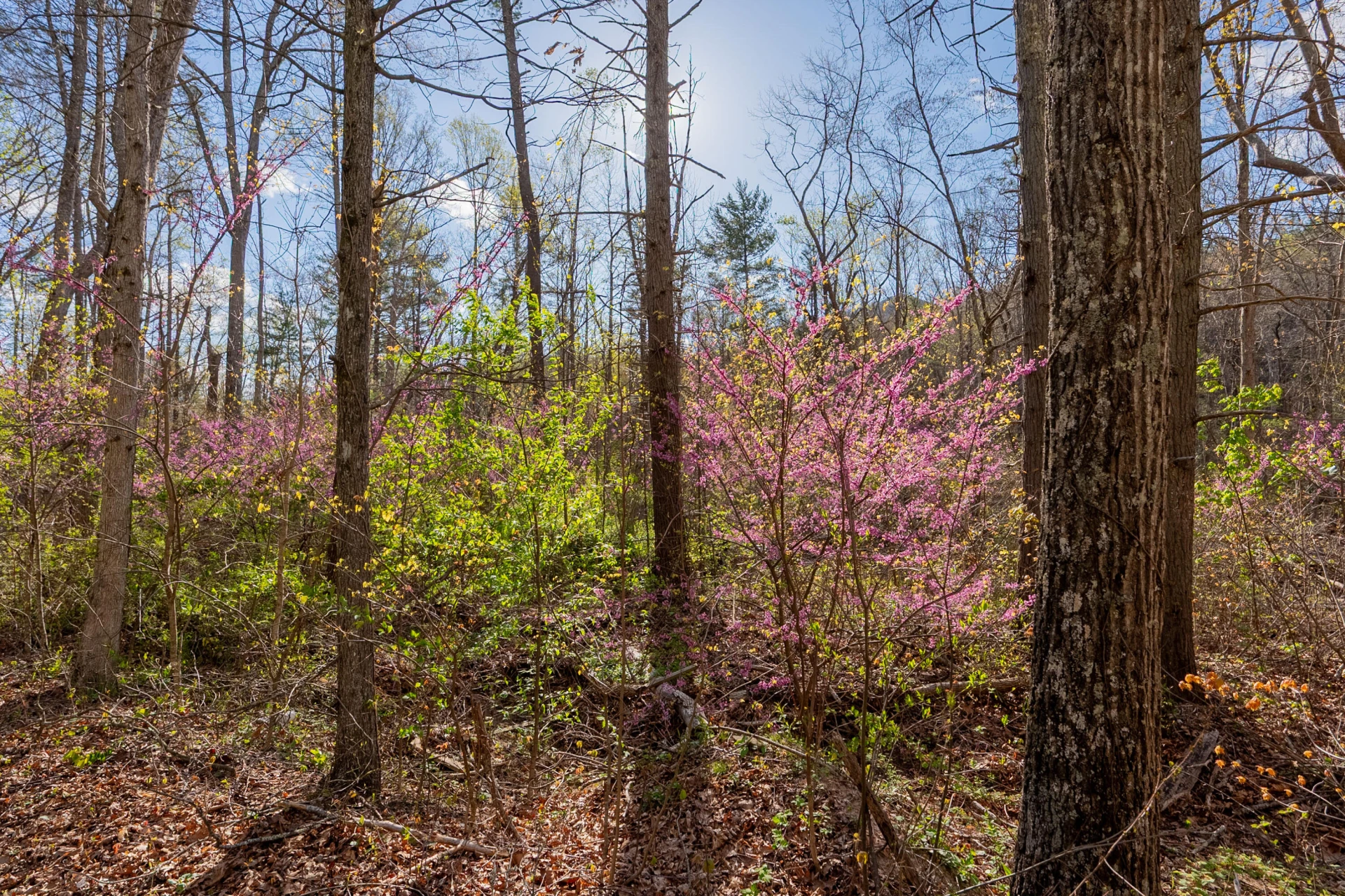 6071 Bradshaw RD - Photo 35