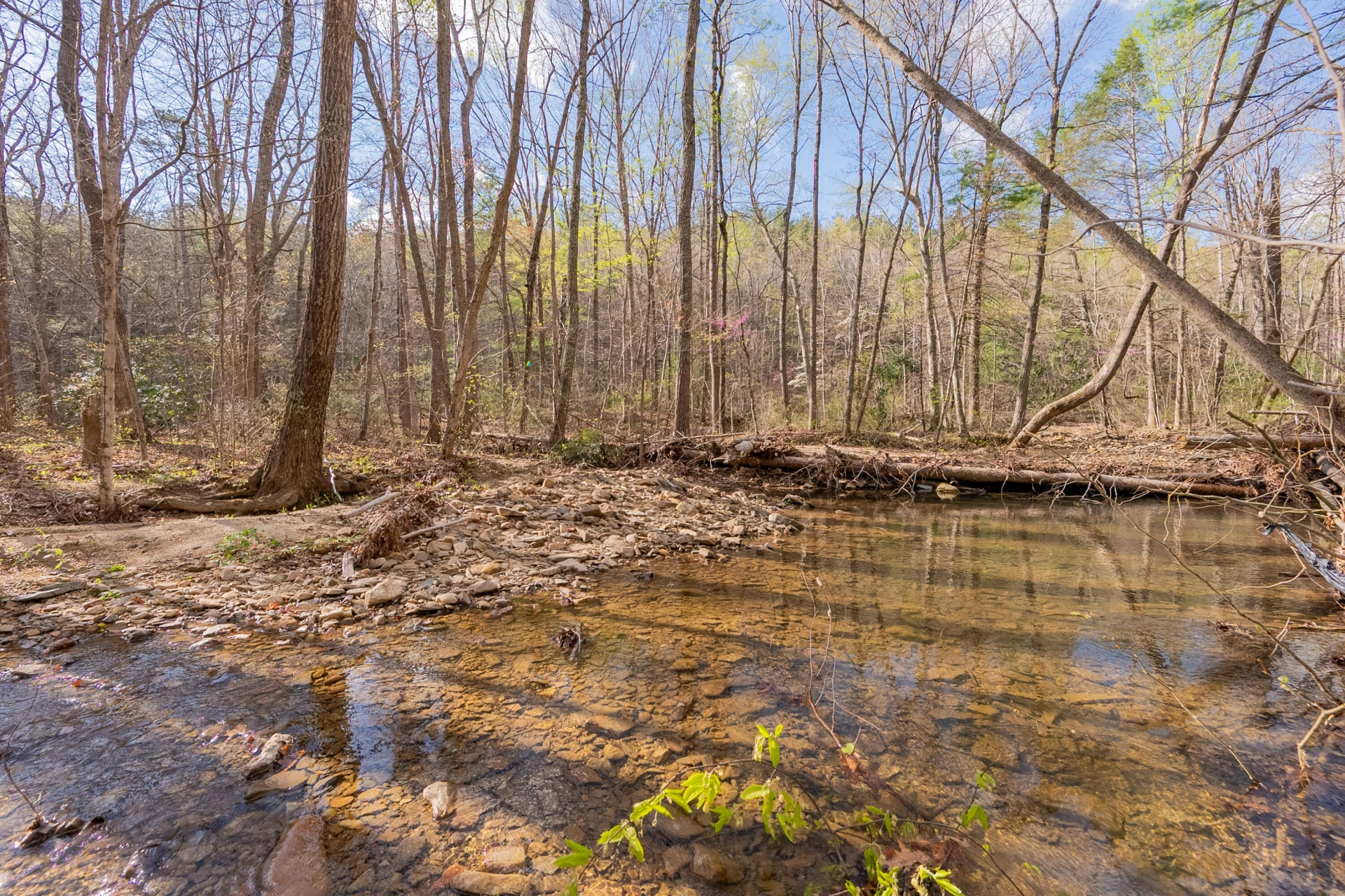 6071 Bradshaw RD - Photo 36