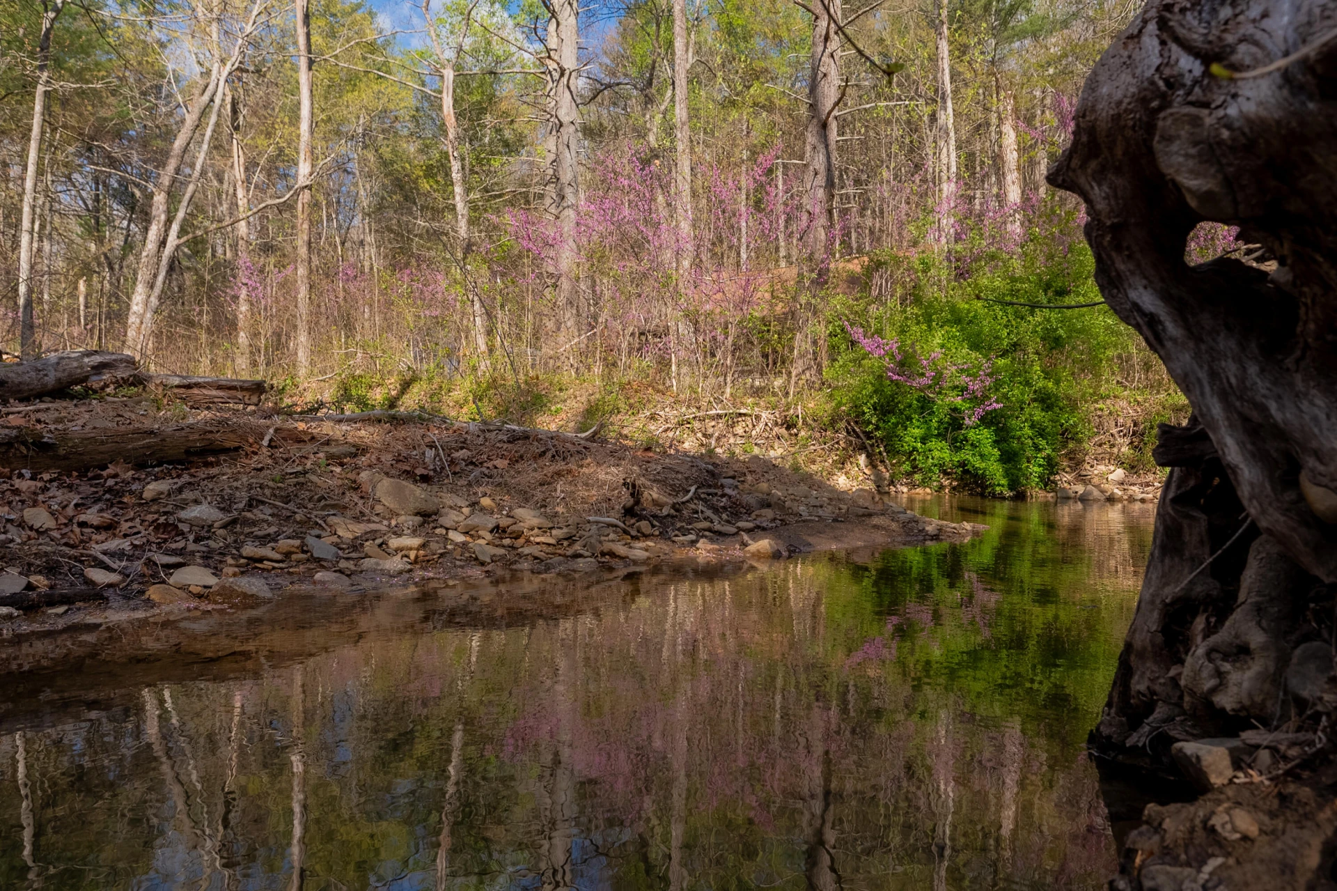 6071 Bradshaw RD - Photo 37