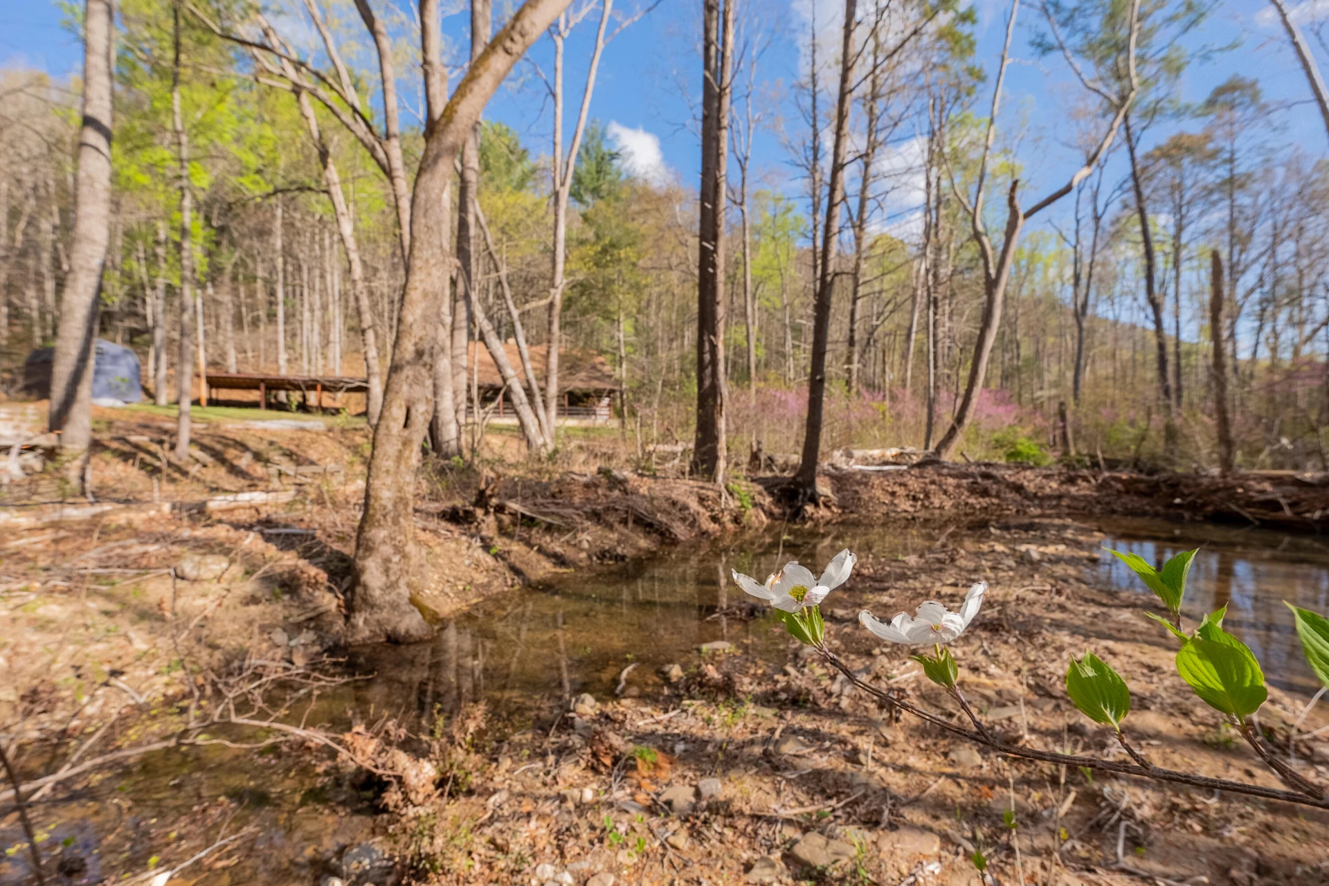 6071 Bradshaw RD - Photo 38