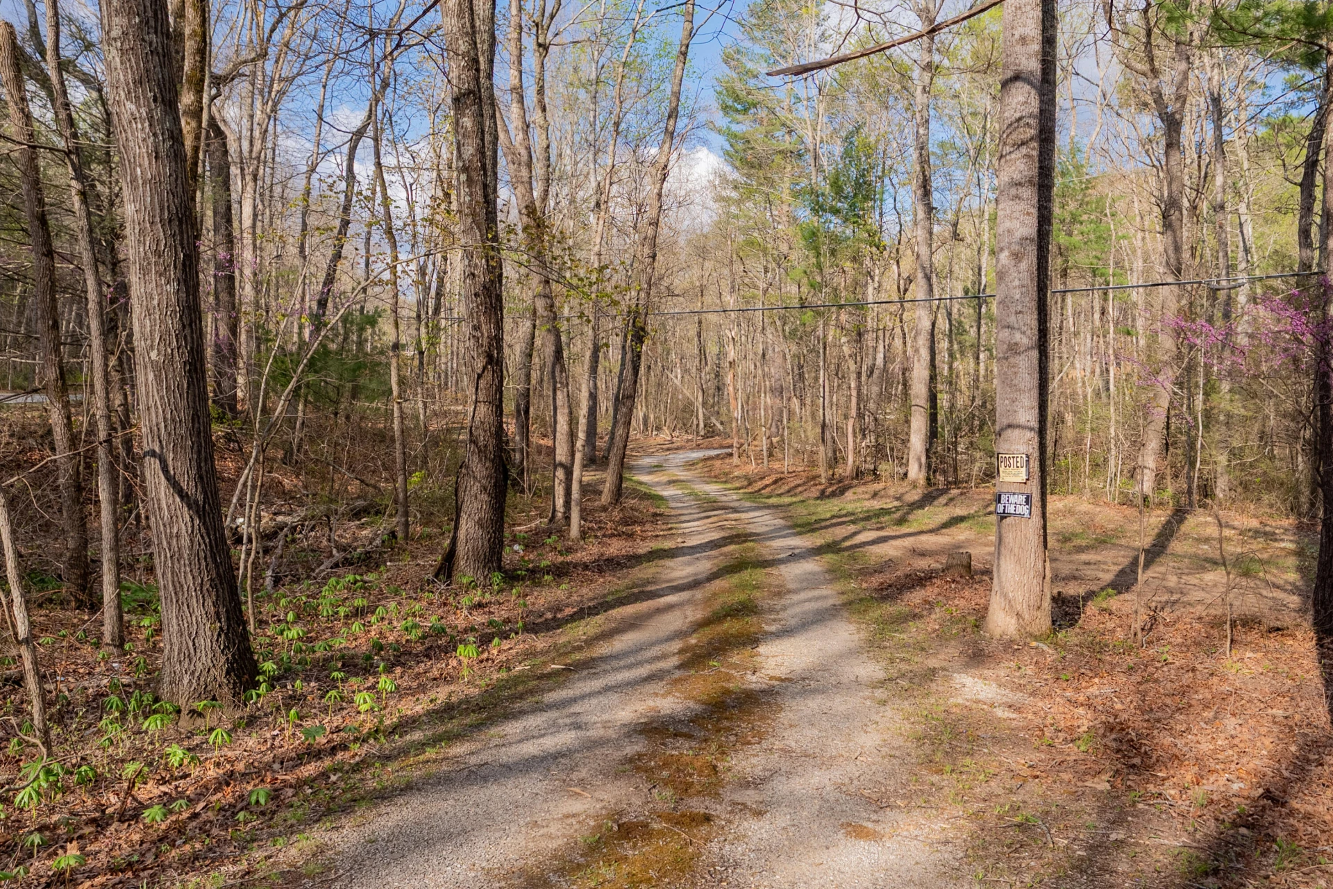 6071 Bradshaw RD - Photo 40