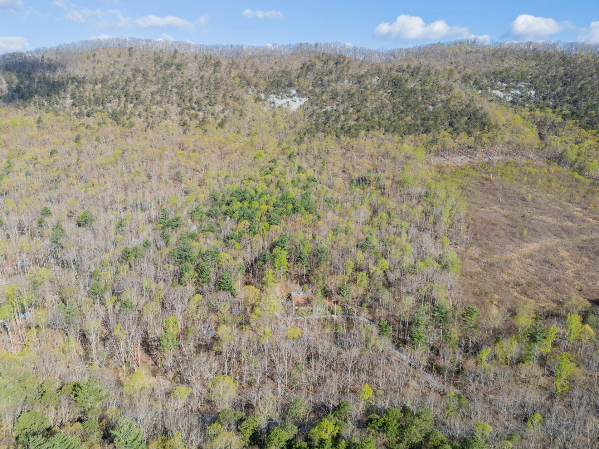 6071 Bradshaw RD - Photo 44