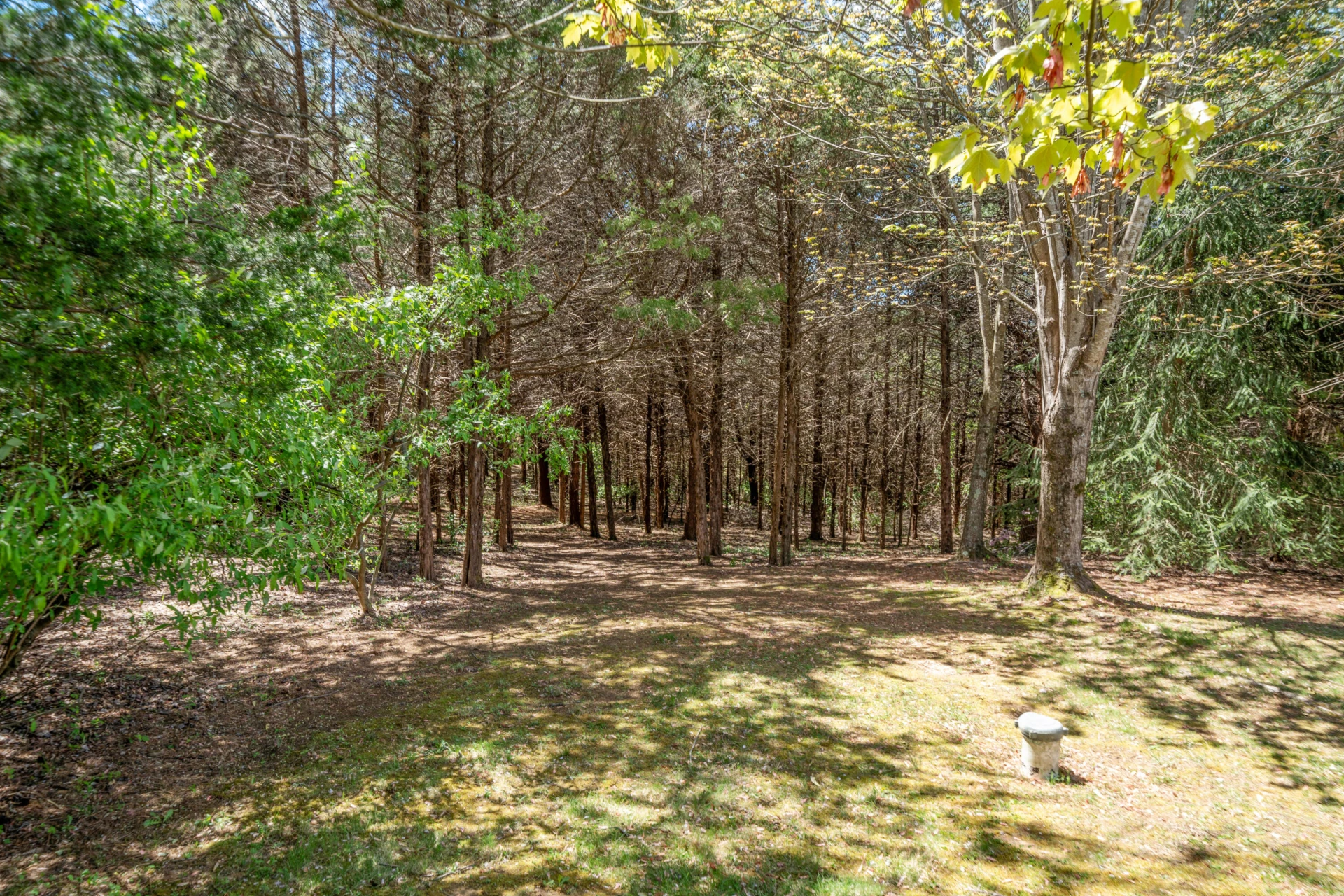 2609 Country Club RD - Photo 39