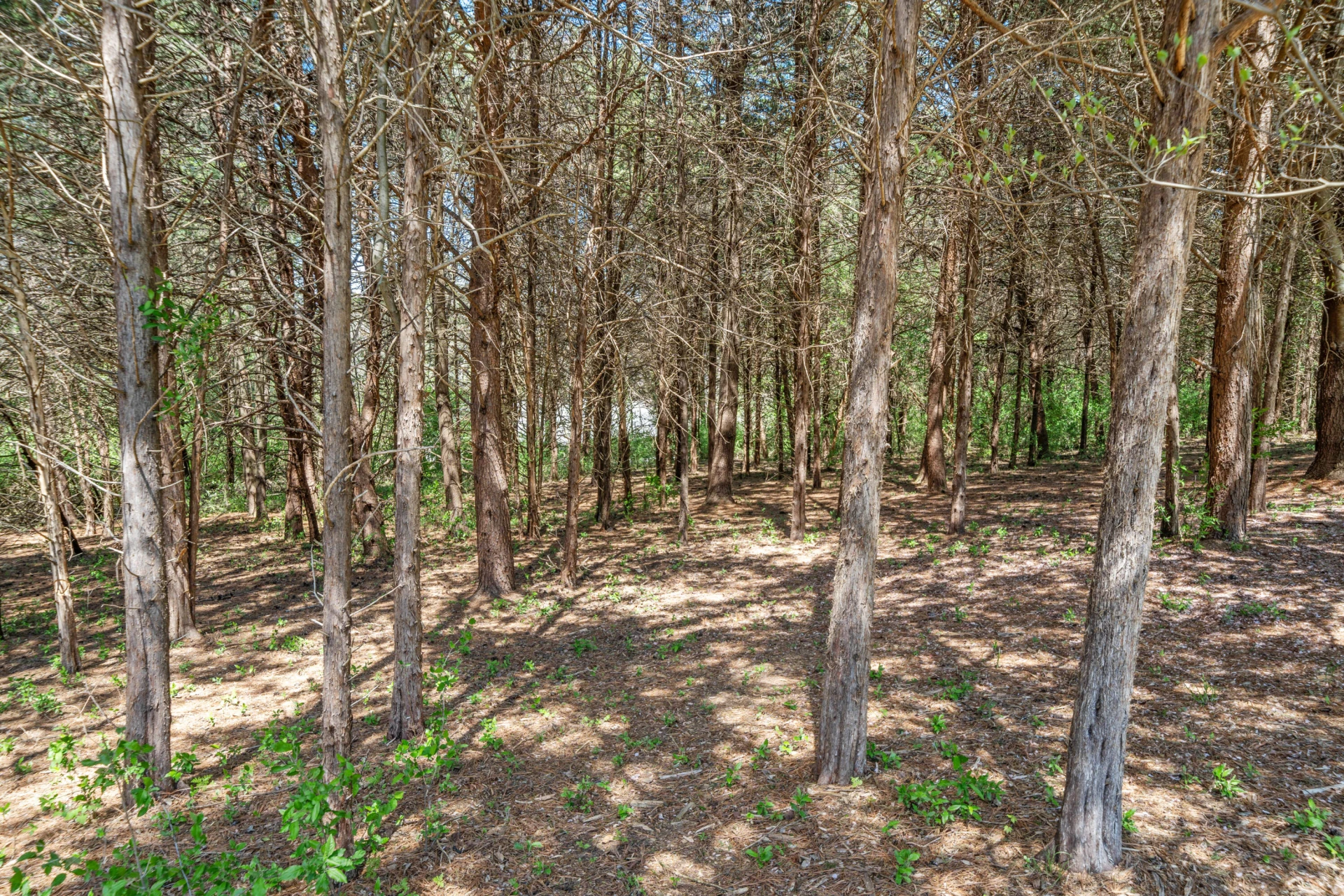 2609 Country Club RD - Photo 45