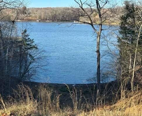 Lot 74 Coves RD - Photo 9