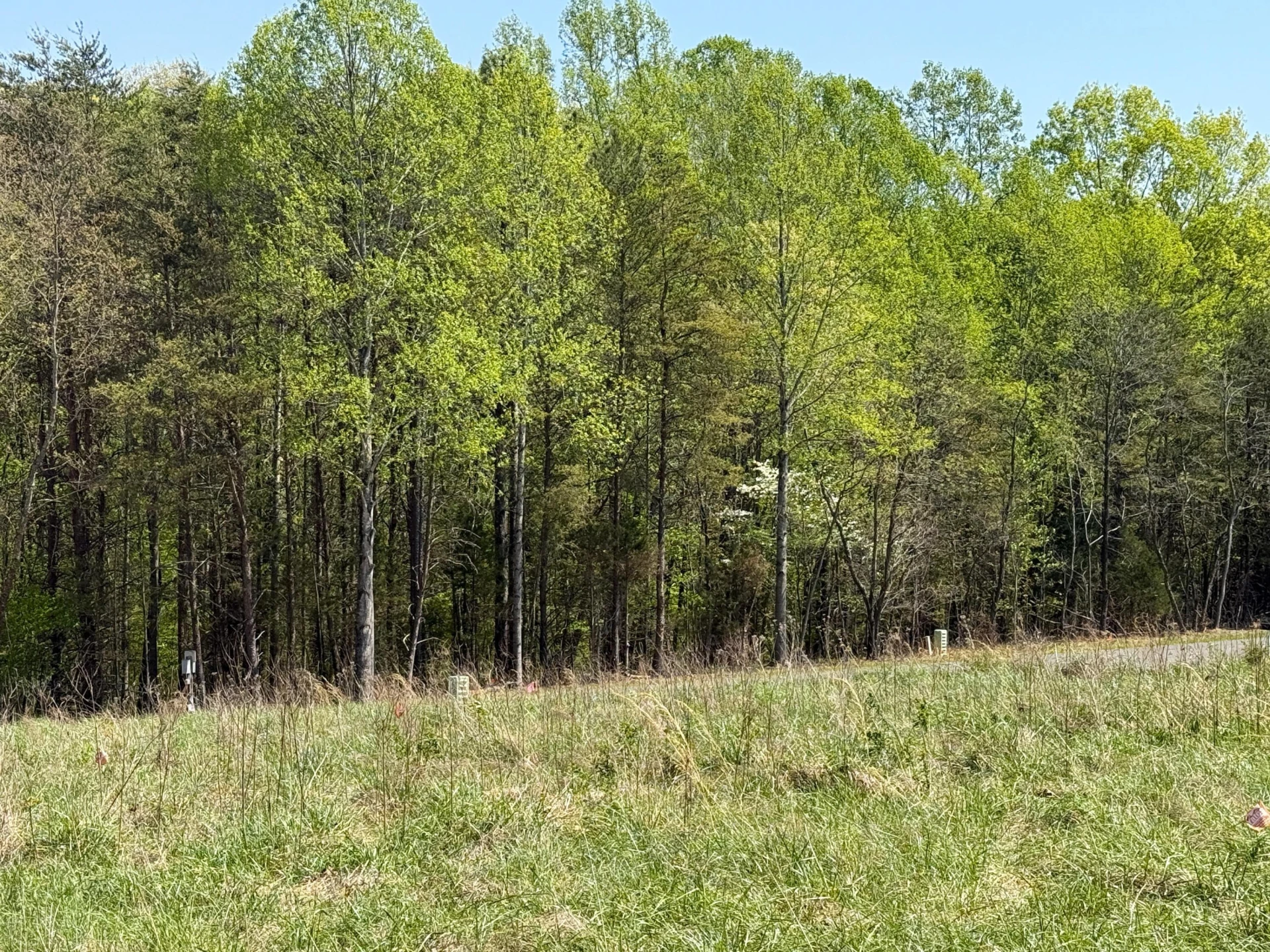 Lot 11 Lake Park DR - Photo 3