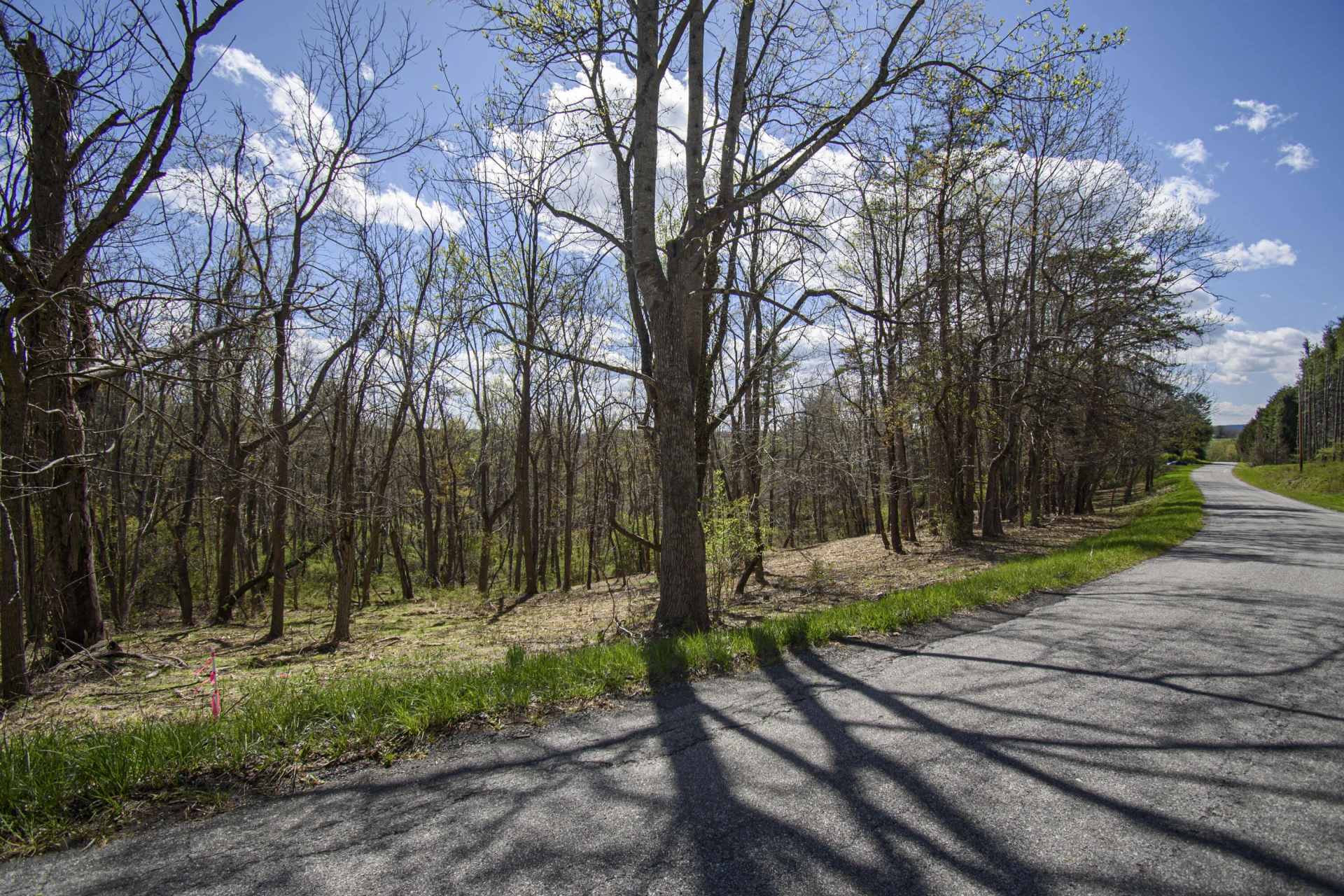 Tract B Penn RD - Photo 10