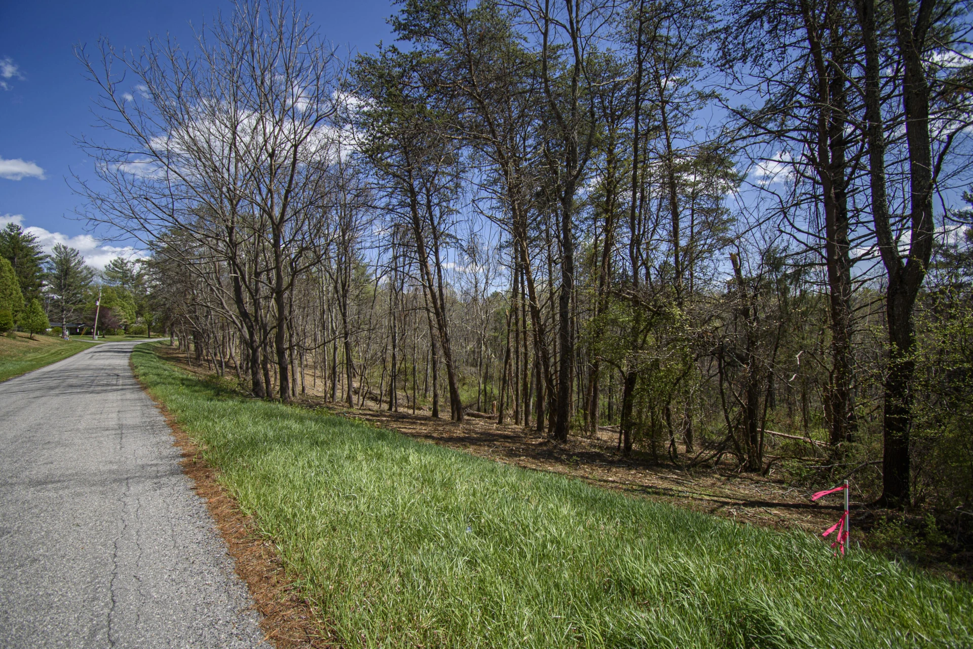 Tract B Penn RD - Photo 12