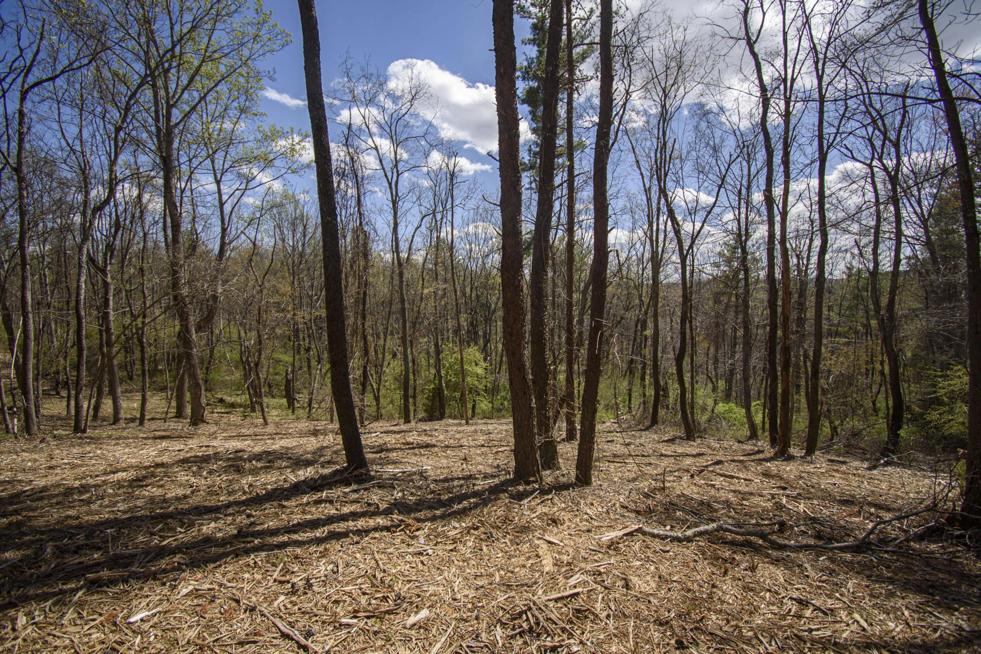 Tract B Penn RD - Photo 2