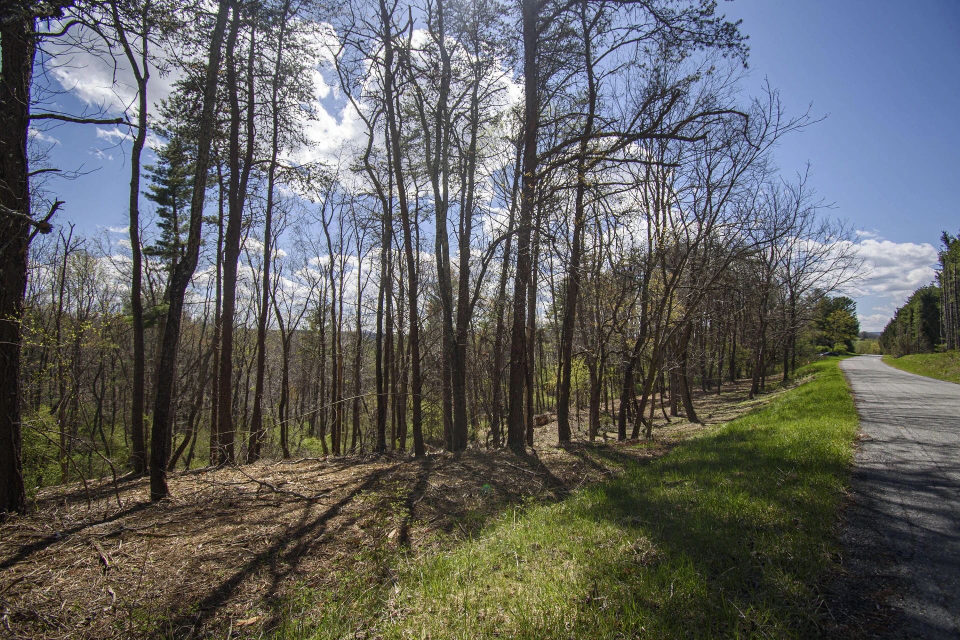 Tract B Penn RD - Photo 3