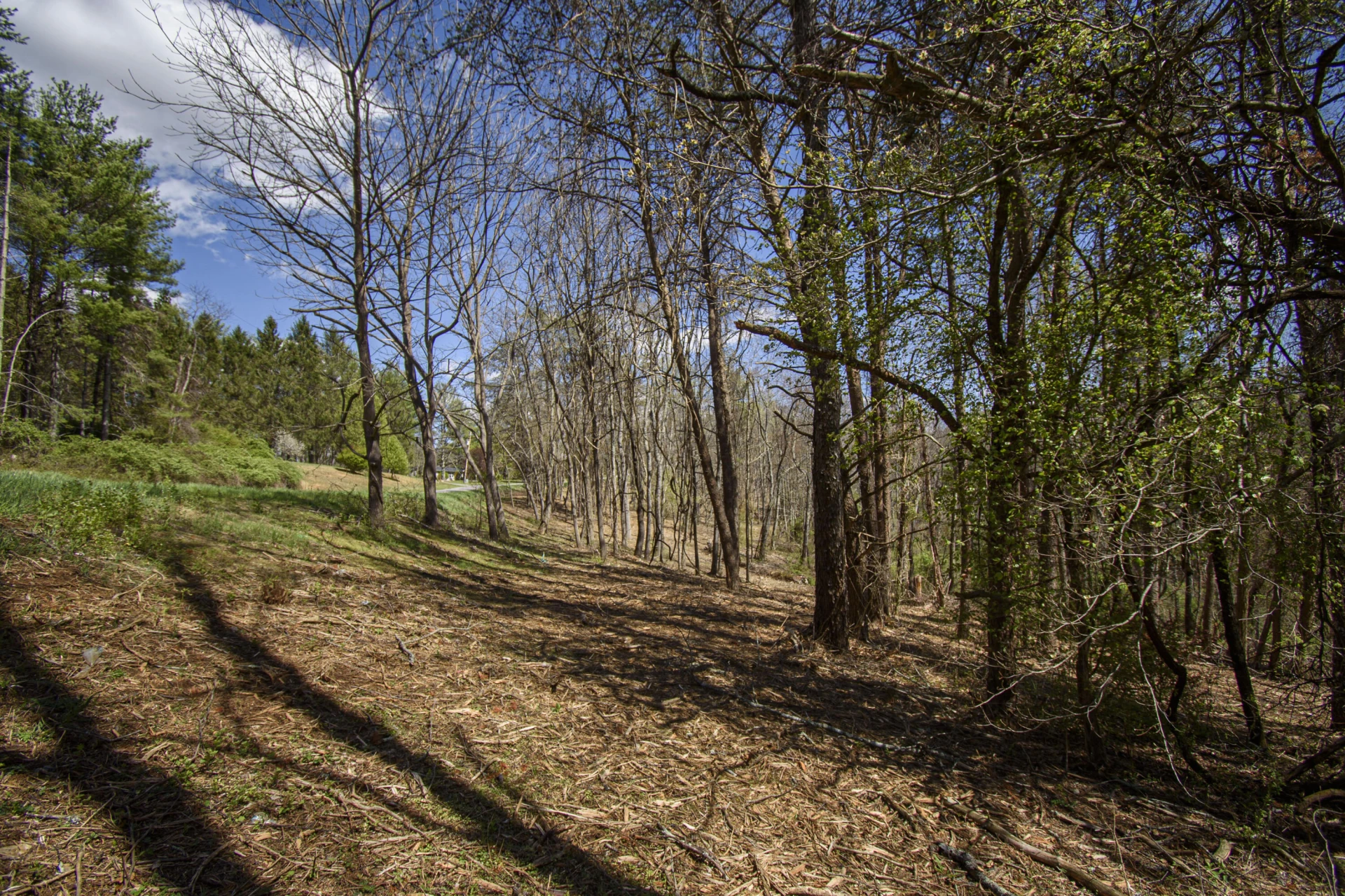 Tract B Penn RD - Photo 4