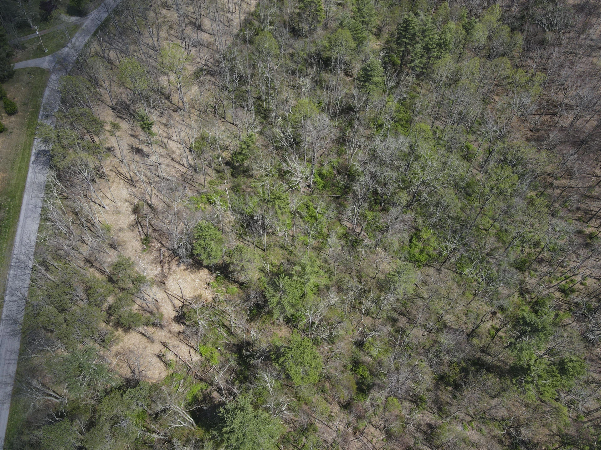 Tract B Penn RD - Photo 7