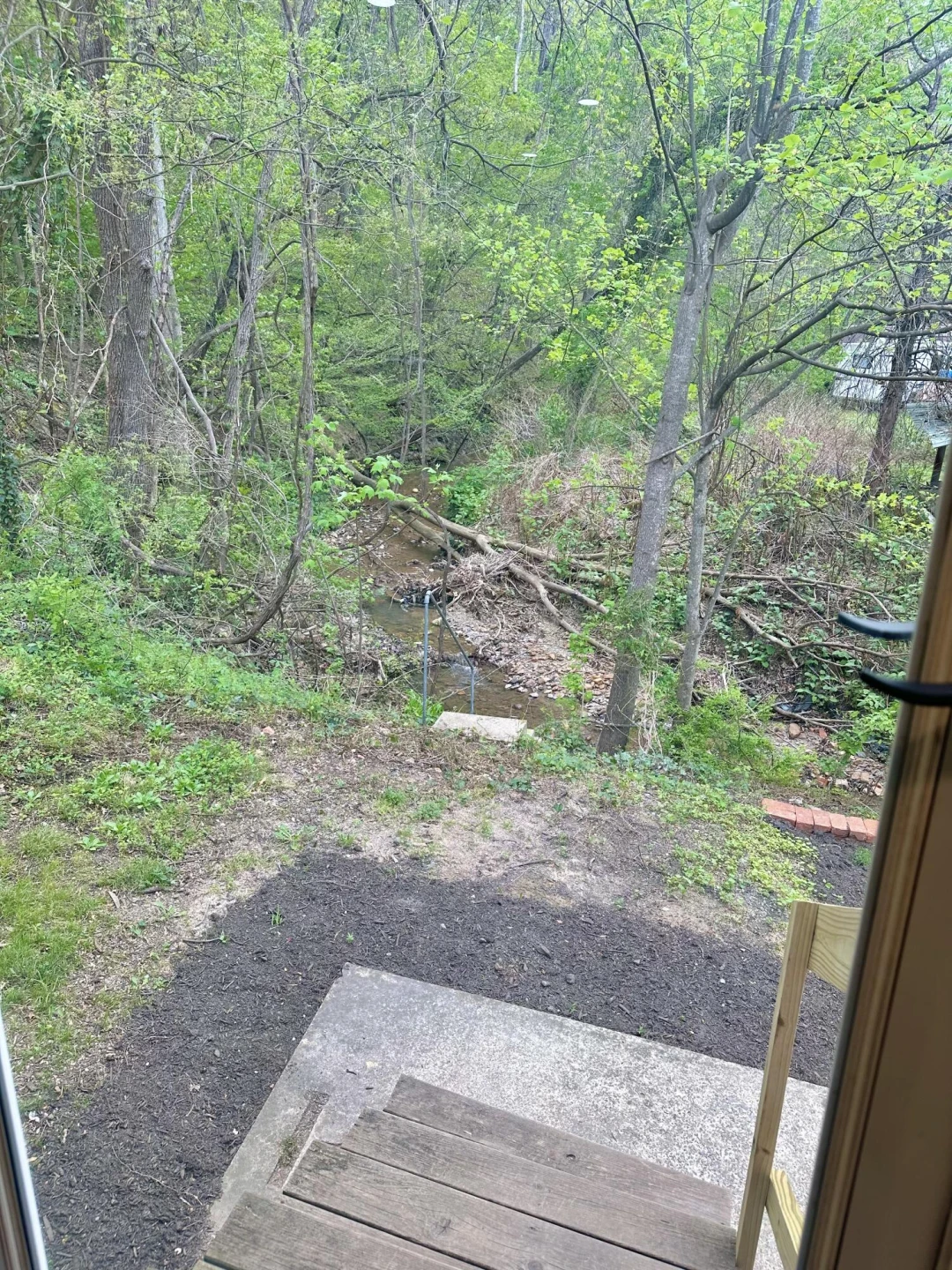 381 Roxbury ST - Photo 26