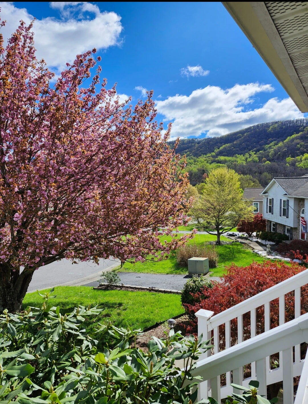 3783 Praline PL - Photo 3