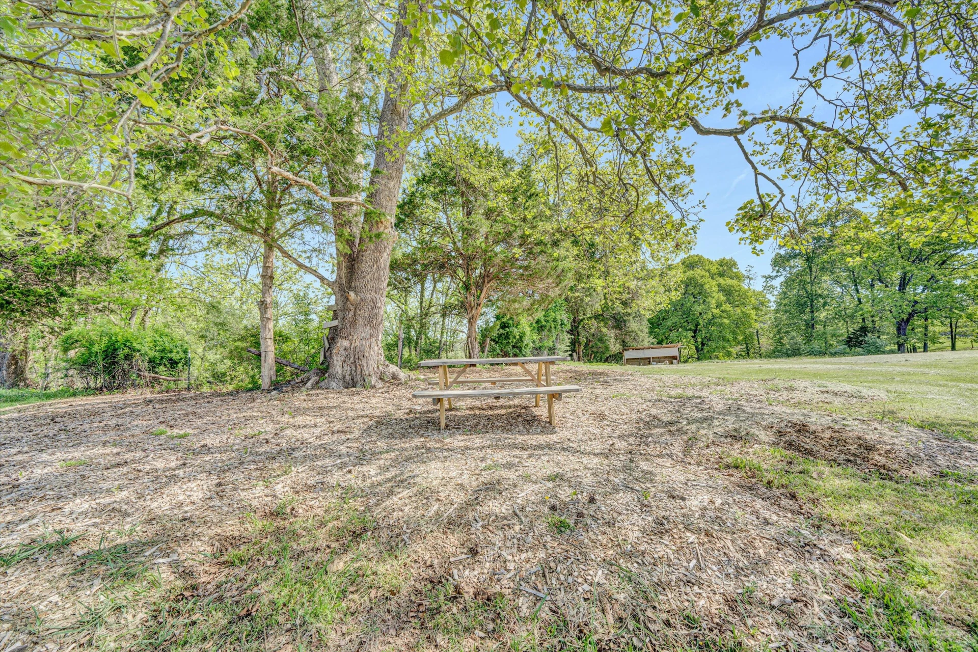 1410 FLOWING SPRINGS RD - Photo 48