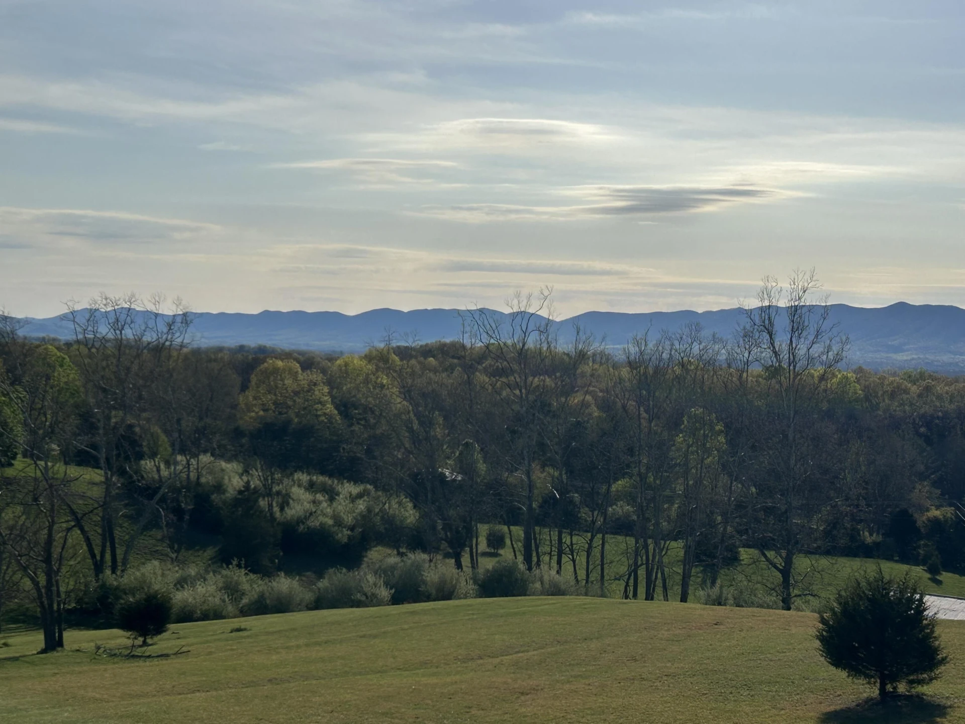 1410 FLOWING SPRINGS RD - Photo 65