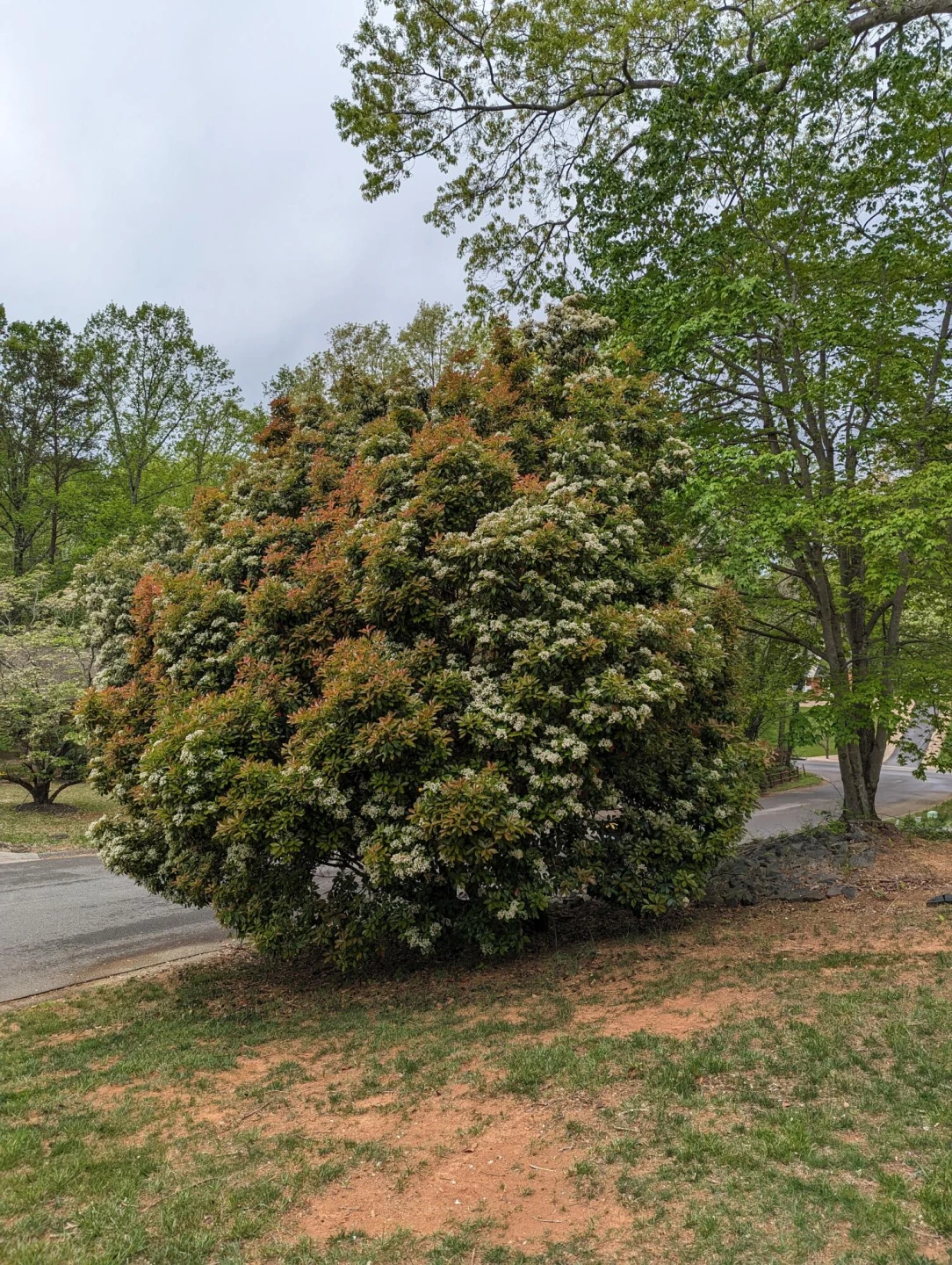 130 Oxford CIR - Photo 47
