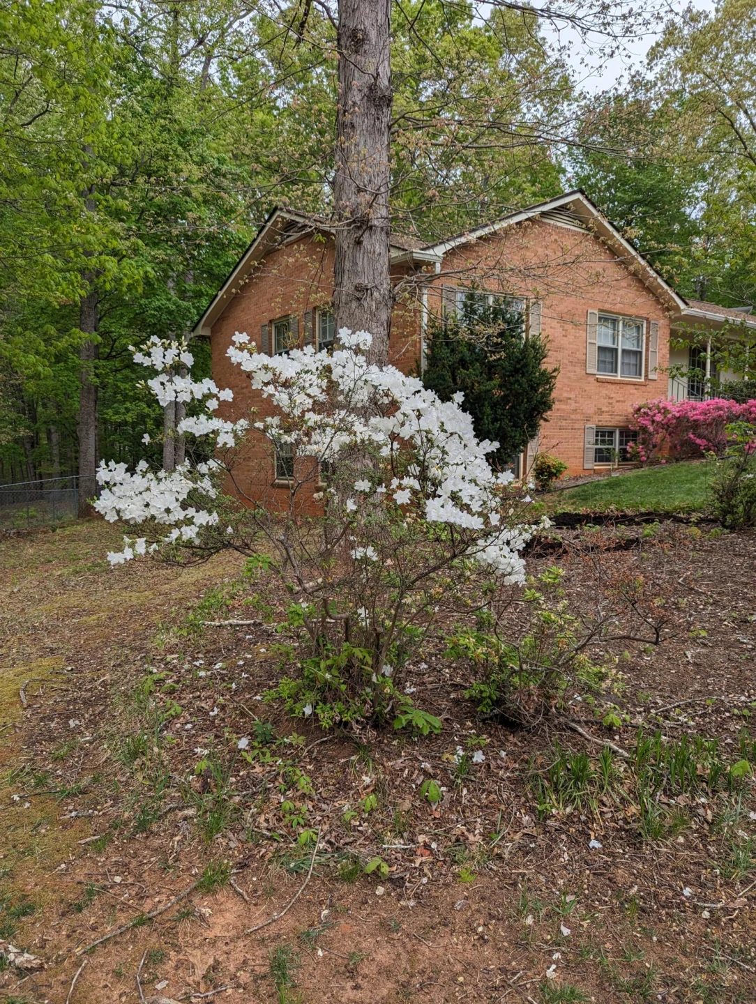 130 Oxford CIR - Photo 48