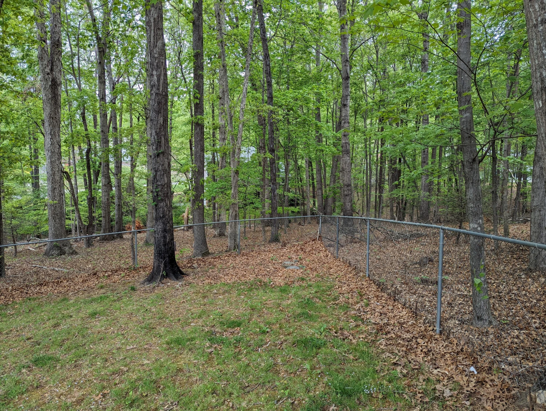 130 Oxford CIR - Photo 55
