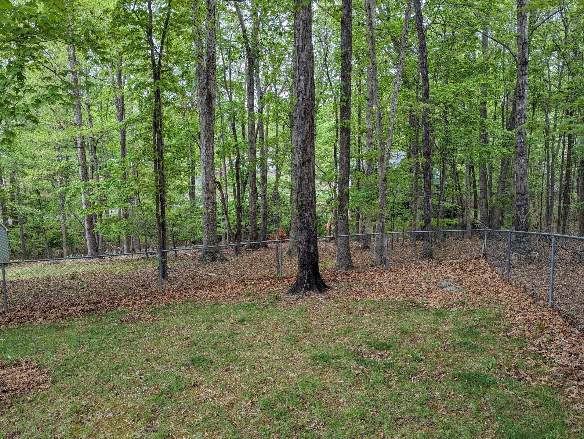130 Oxford CIR - Photo 56