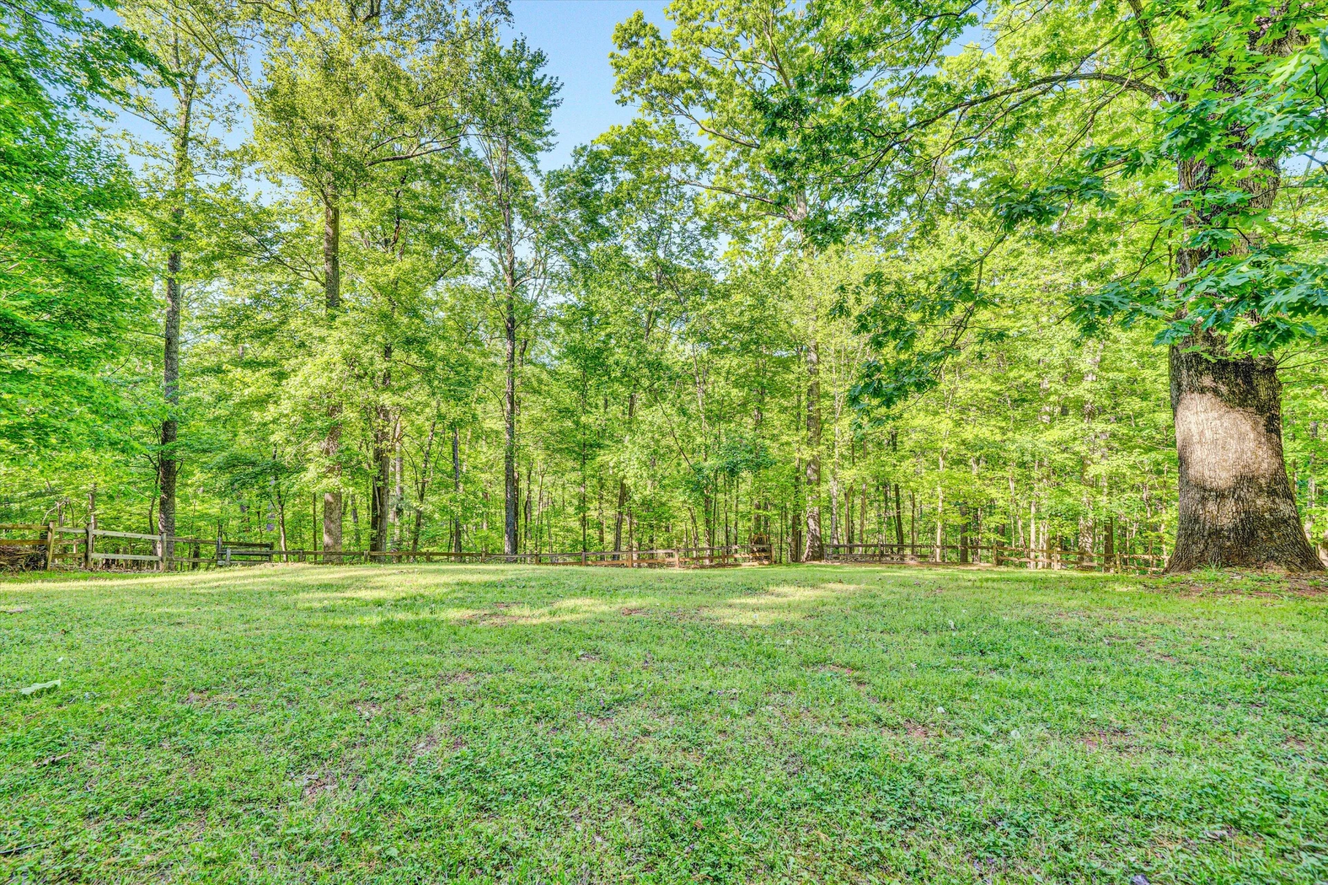 104 Hickory Lake LN - Photo 8