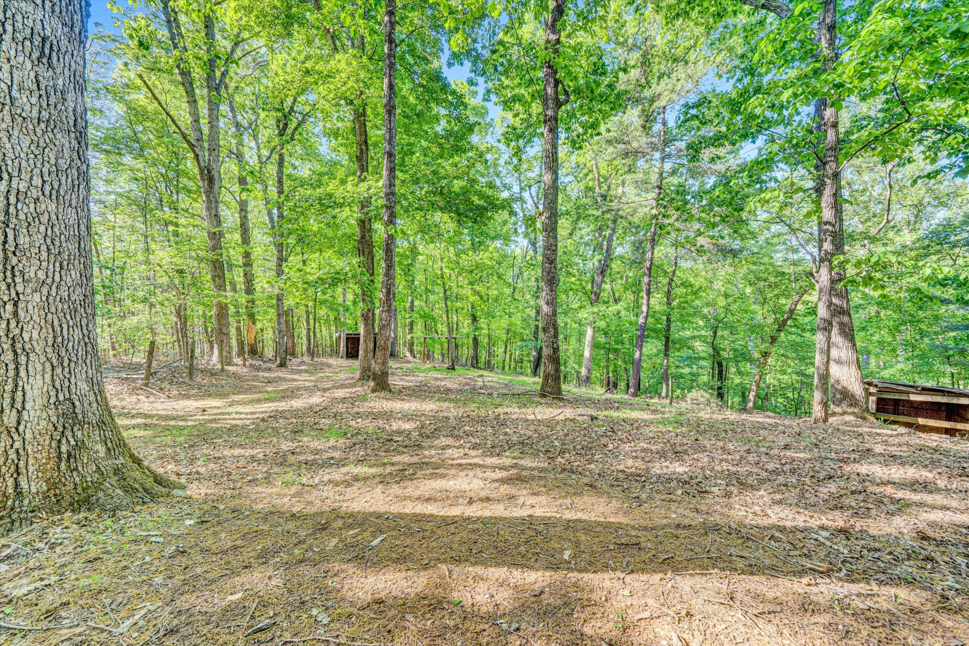 104 Hickory Lake LN - Photo 64