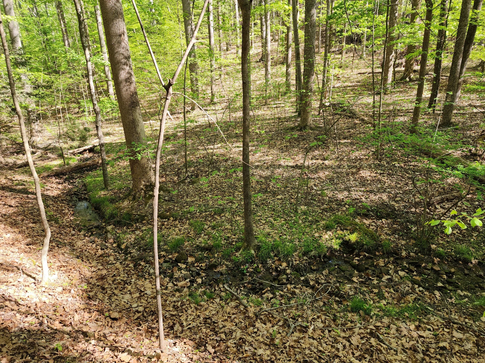 104 Hickory Lake LN - Photo 68