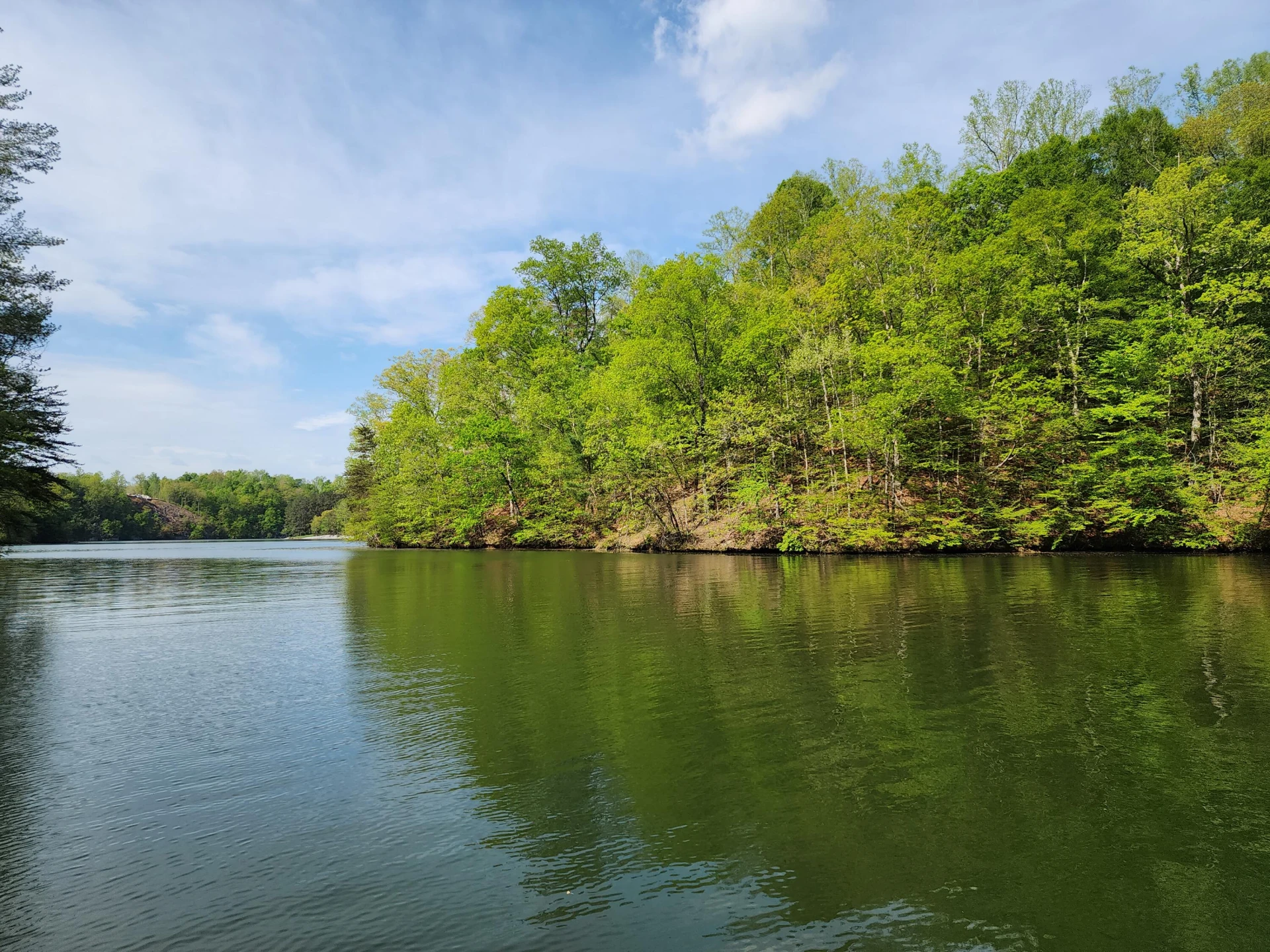 104 Hickory Lake LN - Photo 10