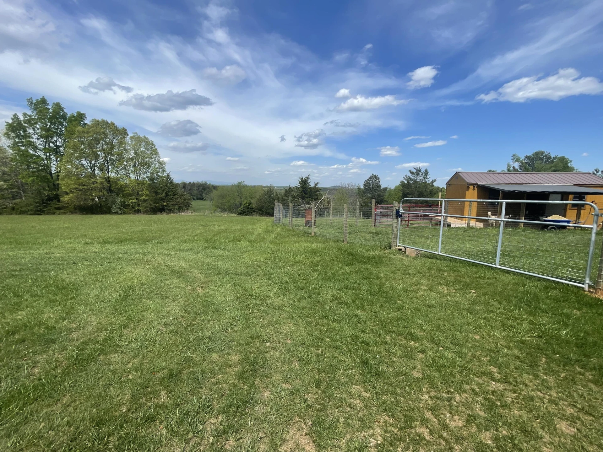 6894 Headens Bridge RD - Photo 55