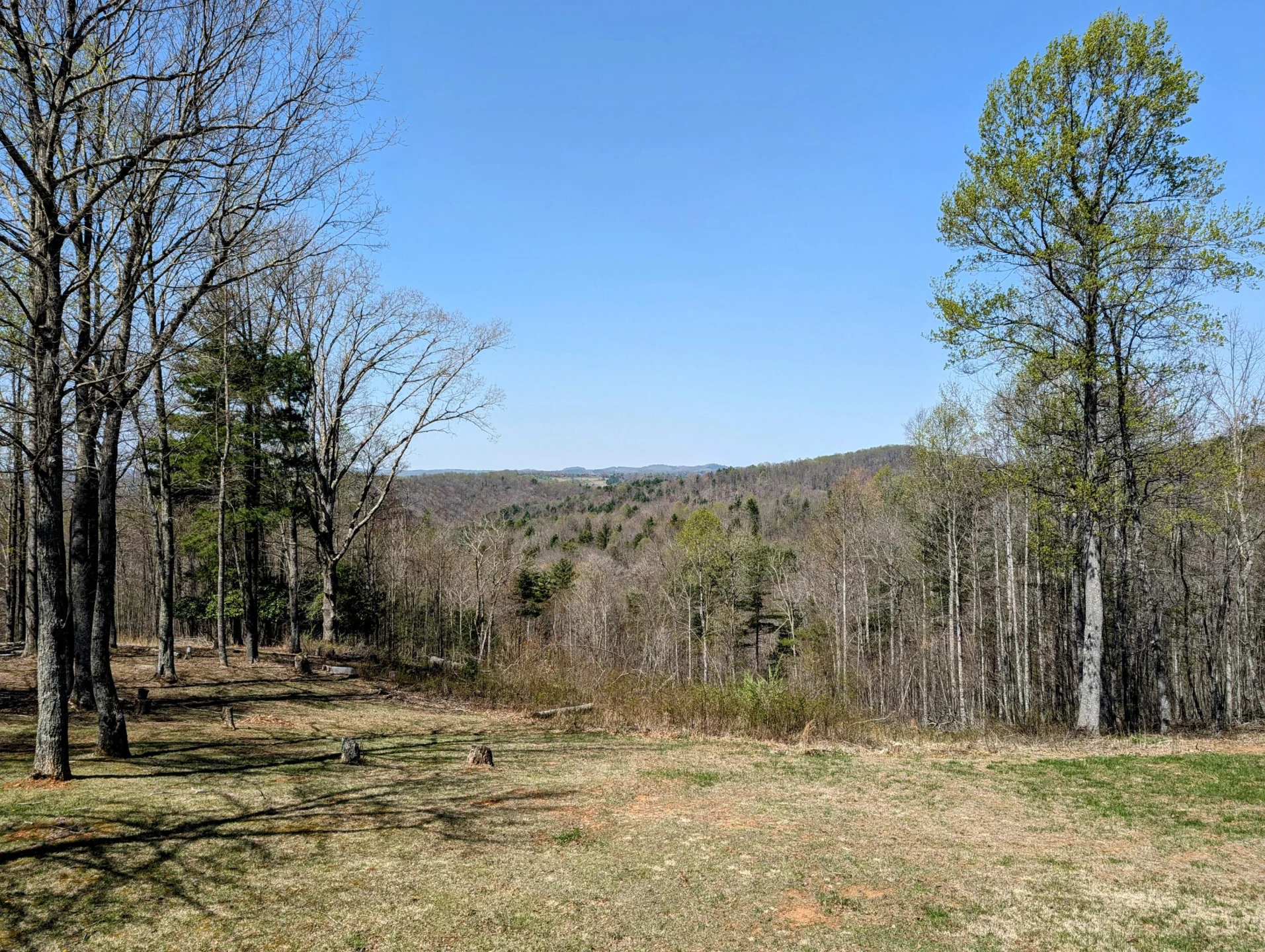 1061 Nursery RD - Photo 30