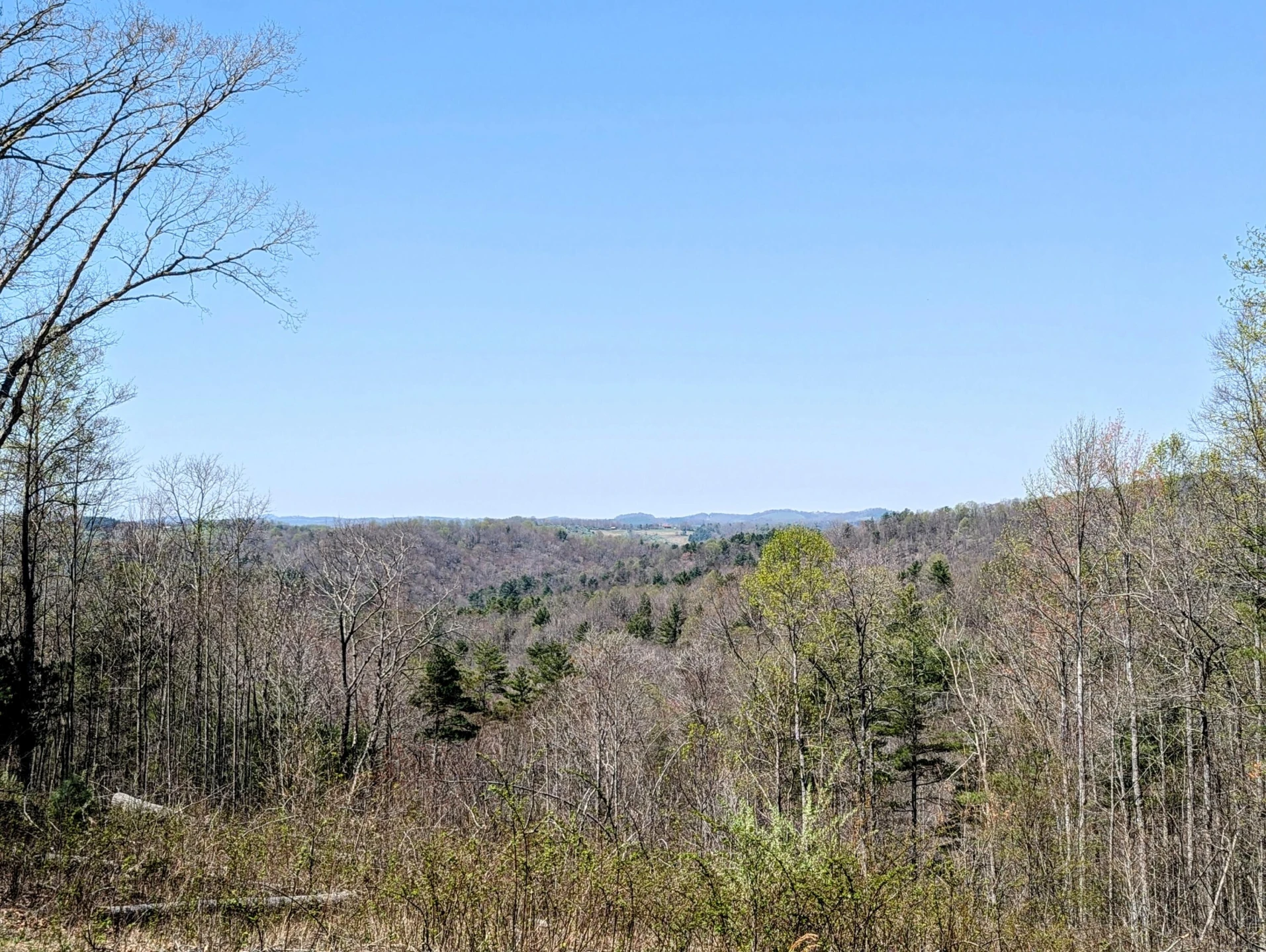 1061 Nursery RD - Photo 31