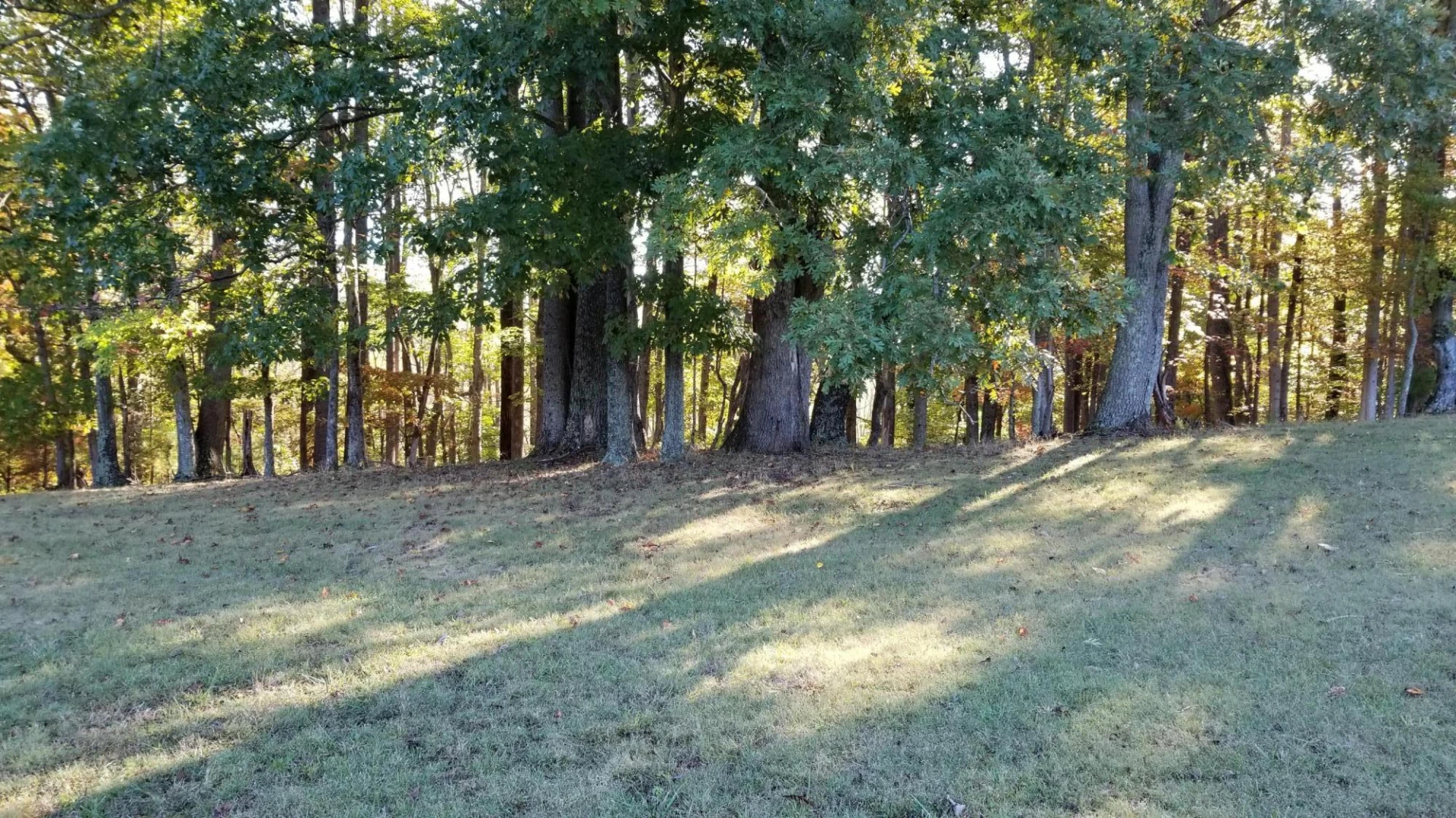 LOT 4 Middle Valley RD - Photo 15