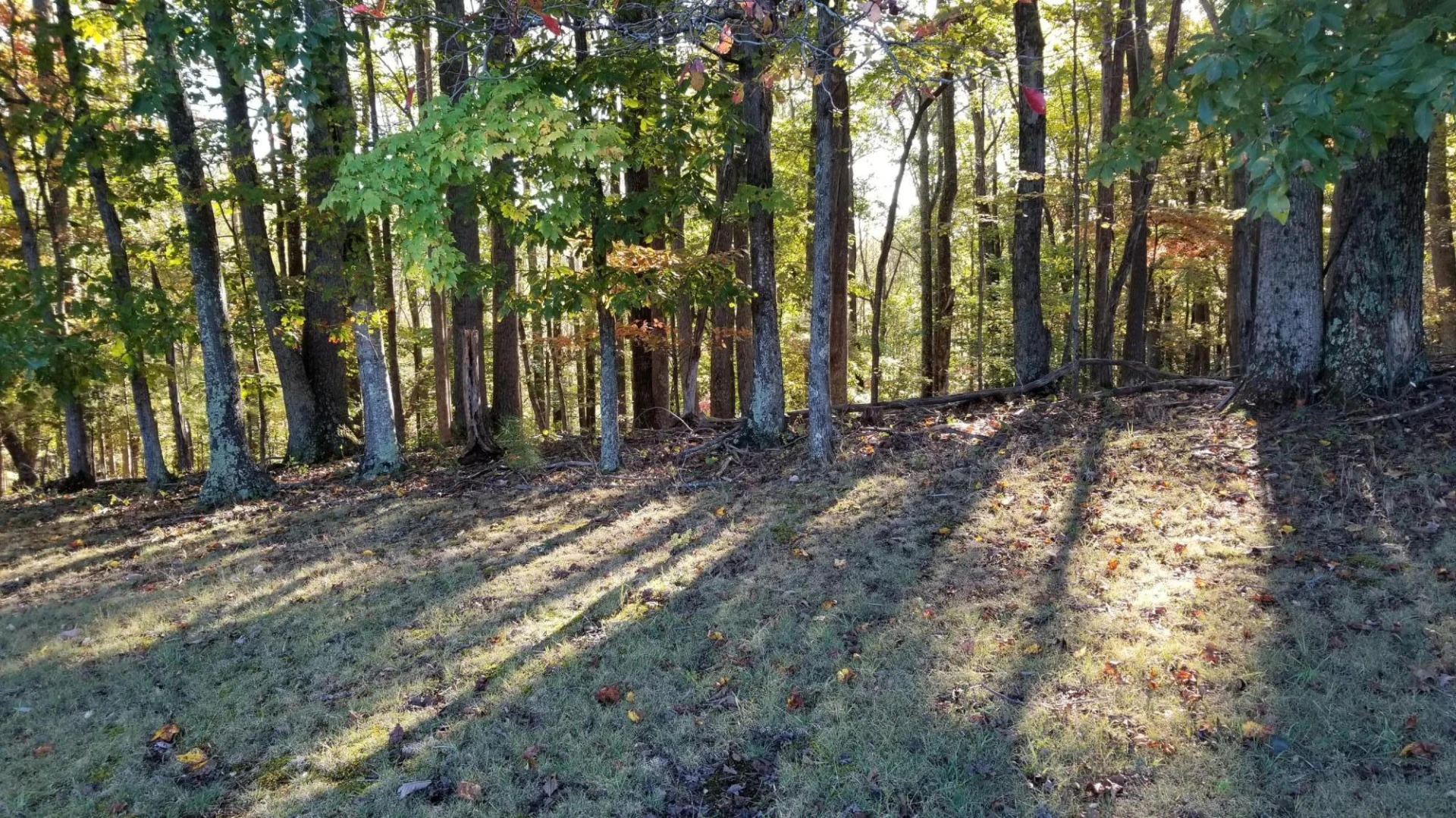 LOT 4 Middle Valley RD - Photo 17