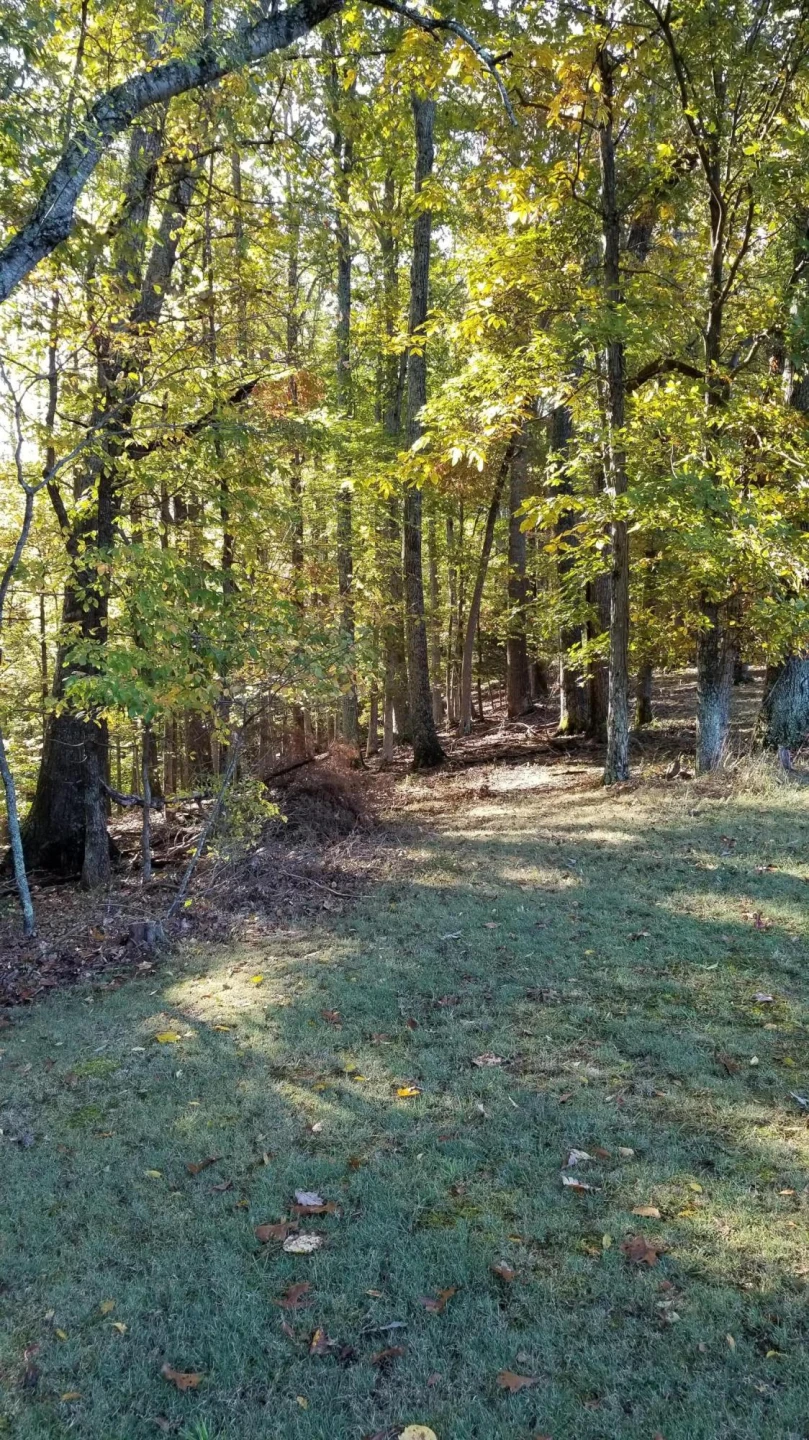 LOT 4 Middle Valley RD - Photo 21