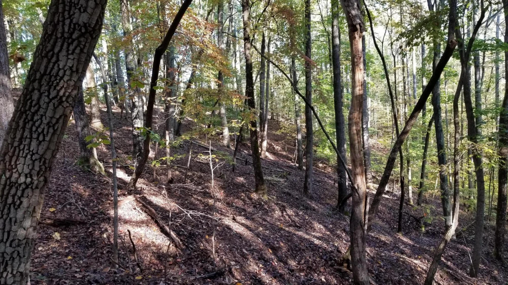 LOT 4 Middle Valley RD - Photo 22