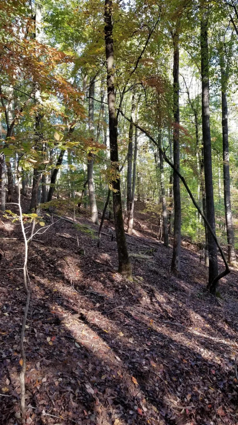 LOT 4 Middle Valley RD - Photo 23
