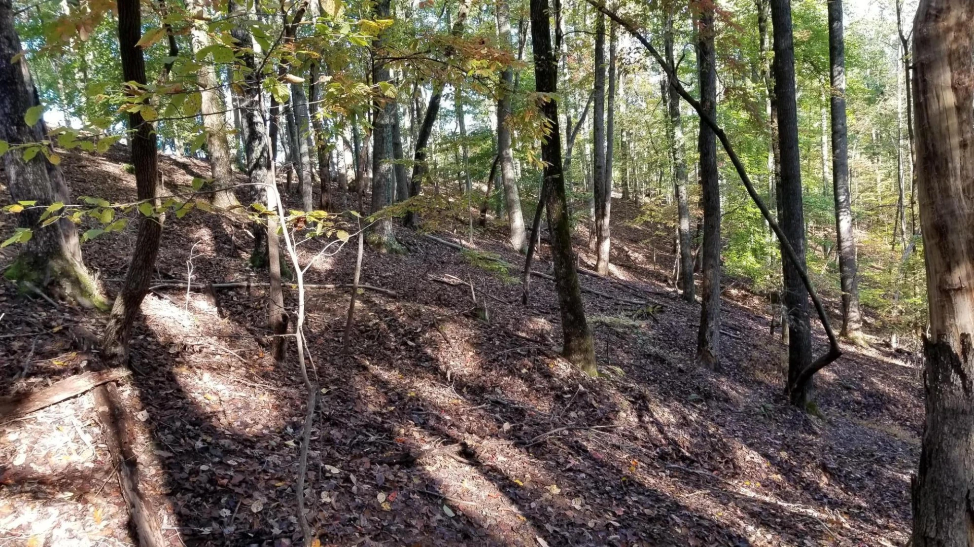 LOT 4 Middle Valley RD - Photo 24