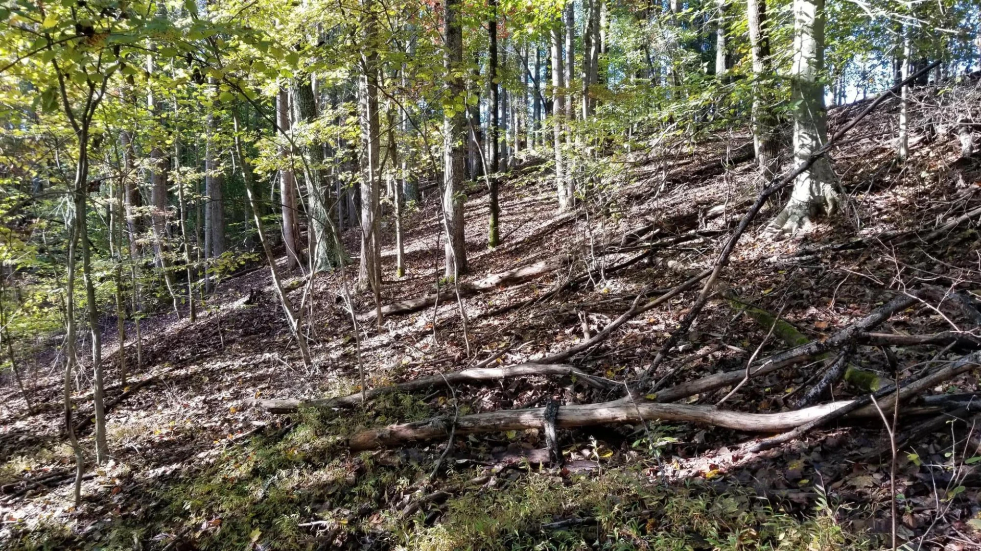 LOT 4 Middle Valley RD - Photo 25