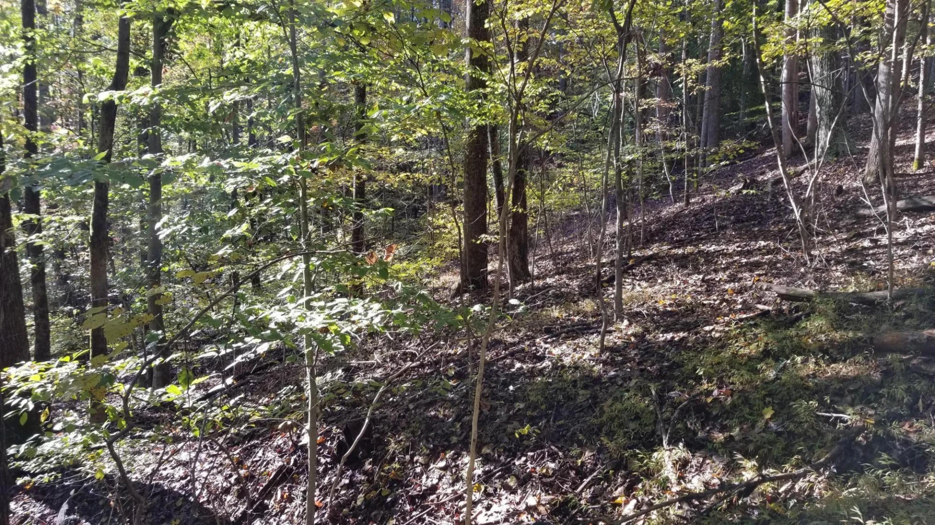 LOT 4 Middle Valley RD - Photo 26