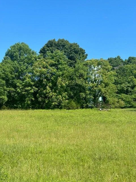 Lot 1 Virginia Ridge DR