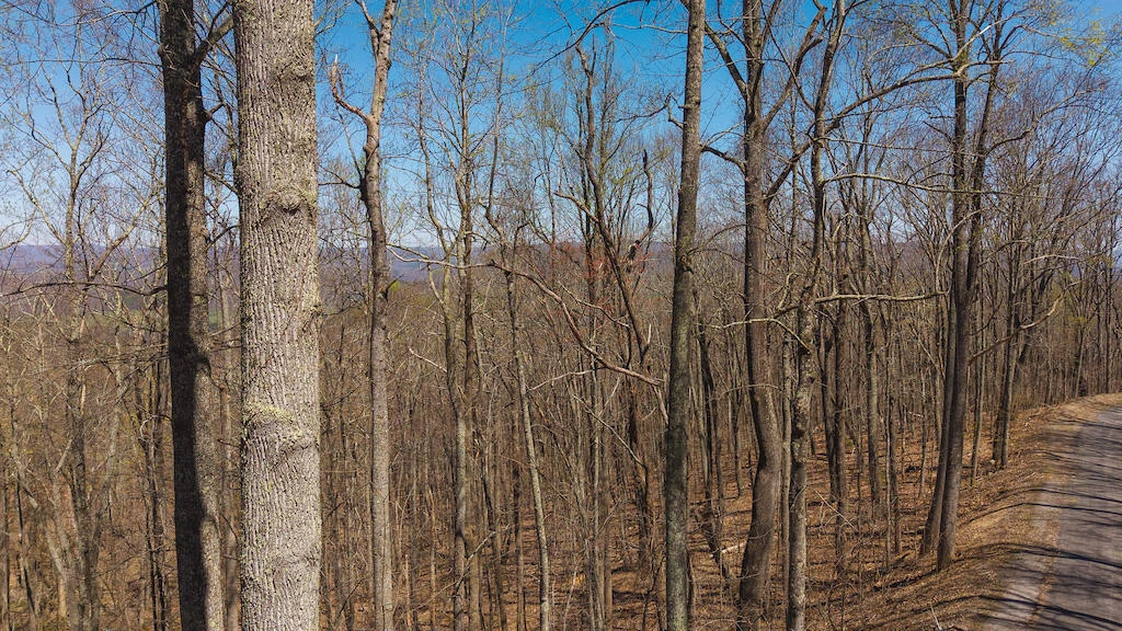 TBD Byrnes Chapel RD - Photo 10