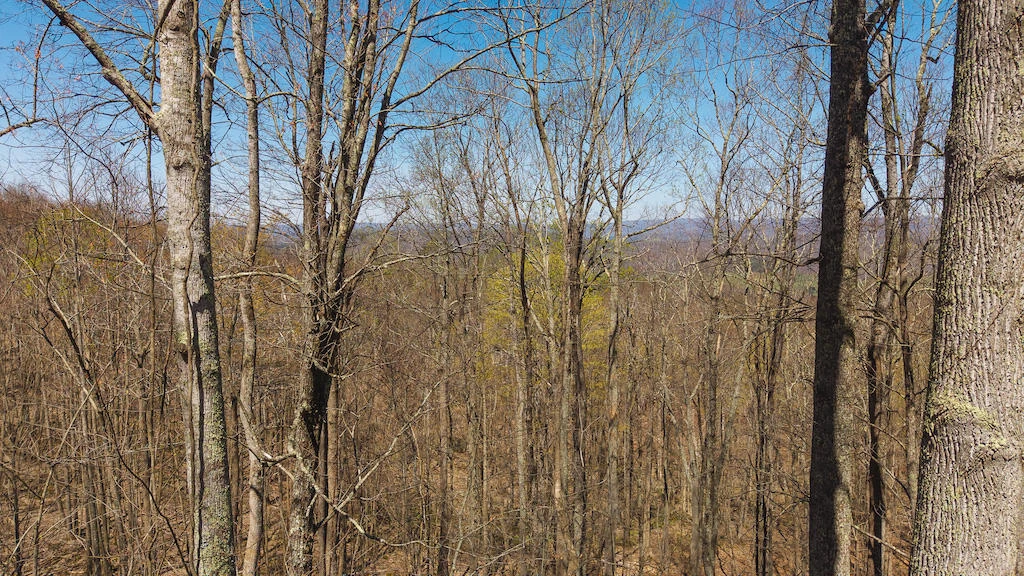 TBD Byrnes Chapel RD - Photo 11