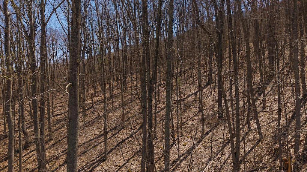 TBD Byrnes Chapel RD - Photo 12