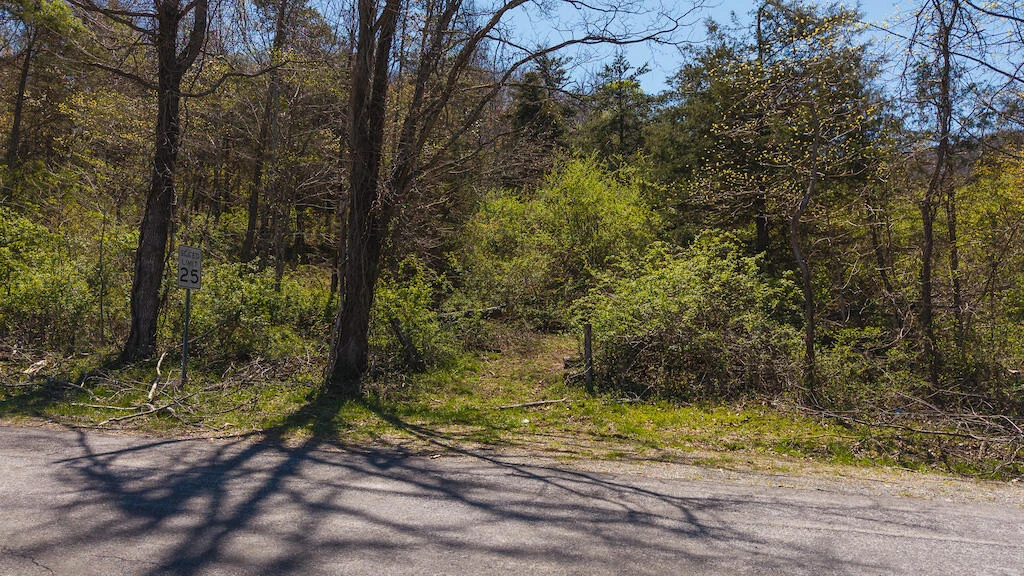 TBD Byrnes Chapel RD - Photo 13