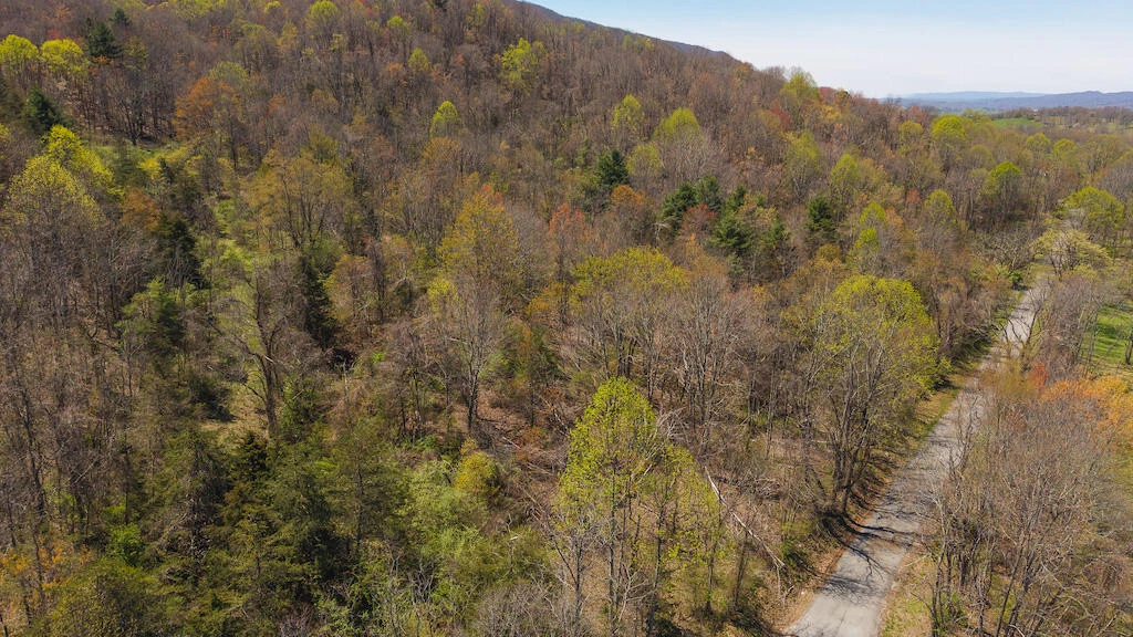 TBD Byrnes Chapel RD - Photo 14