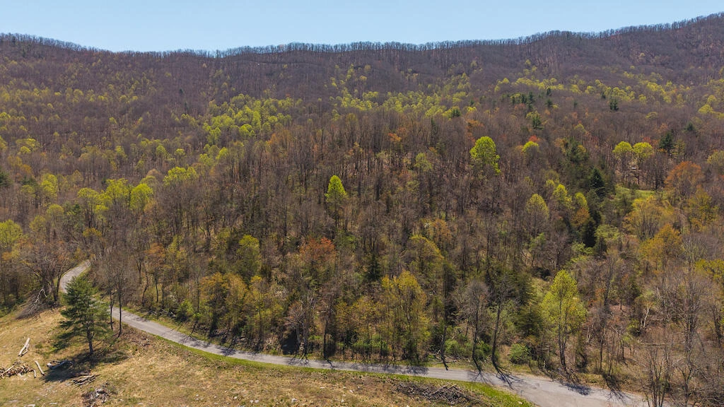 TBD Byrnes Chapel RD - Photo 15