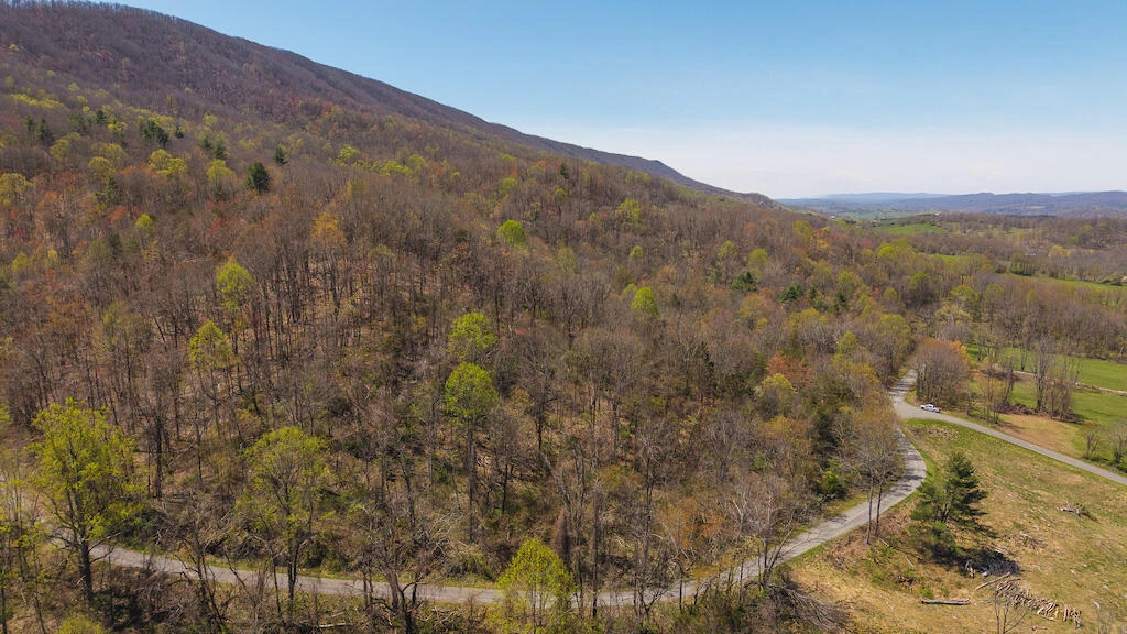 TBD Byrnes Chapel RD - Photo 16